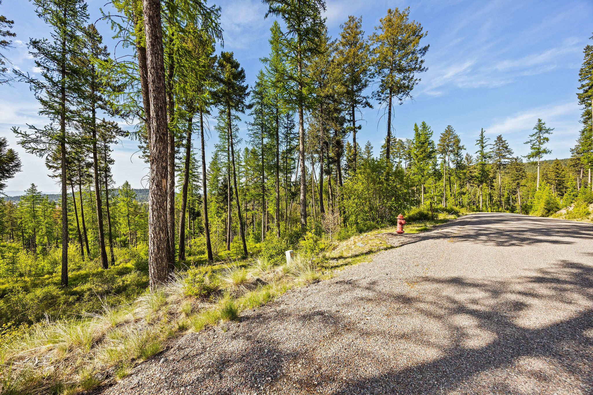 162 Trading Post Trail Property Photo 30