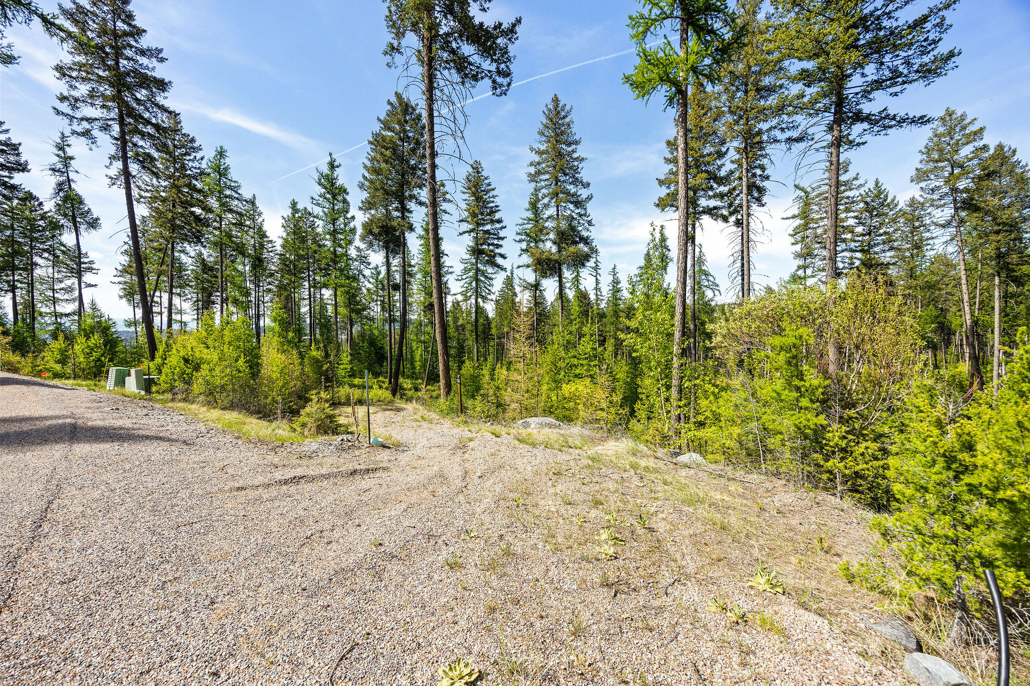 210 Trading Post Trail Property Photo 28