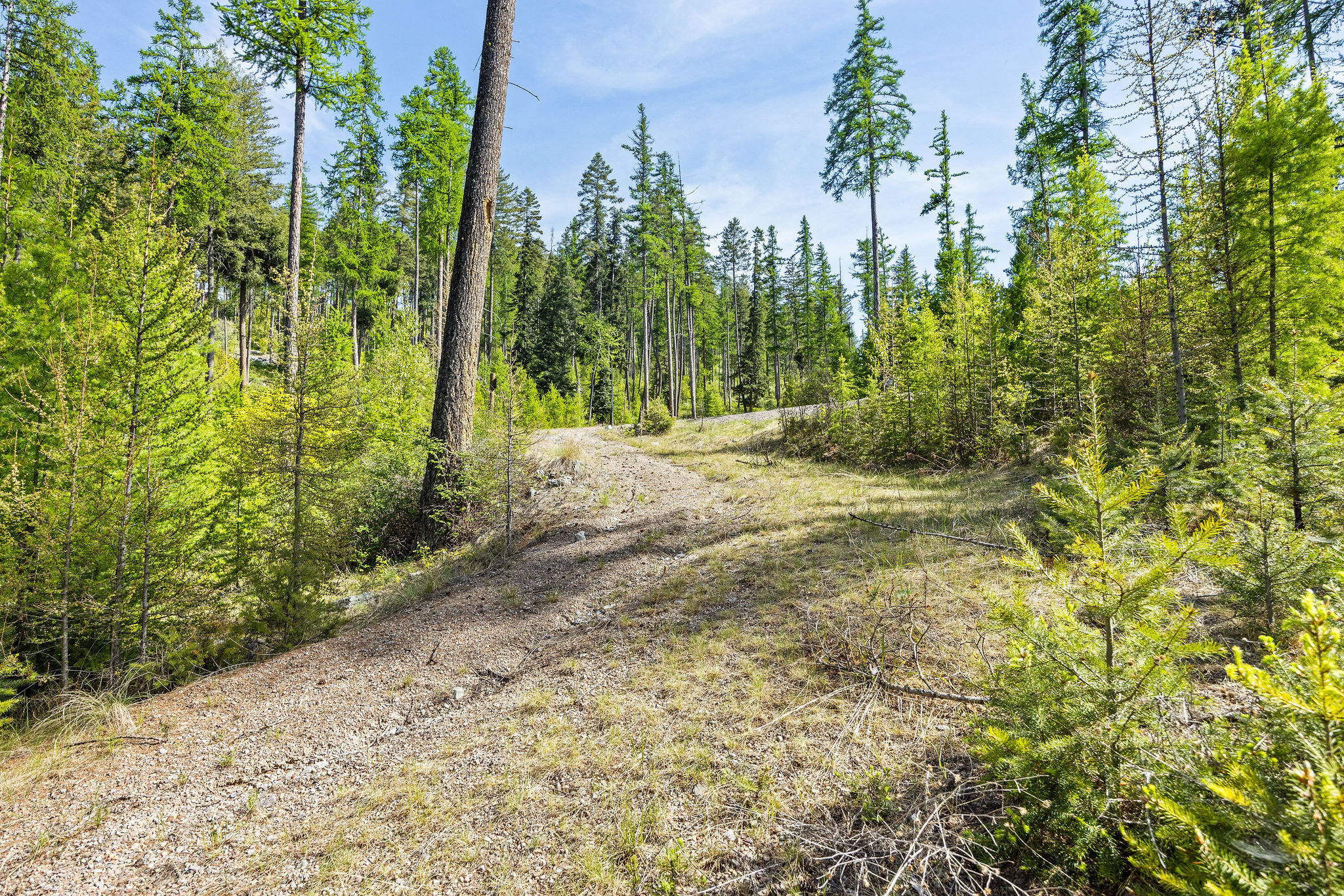 210 Trading Post Trail Property Photo 29