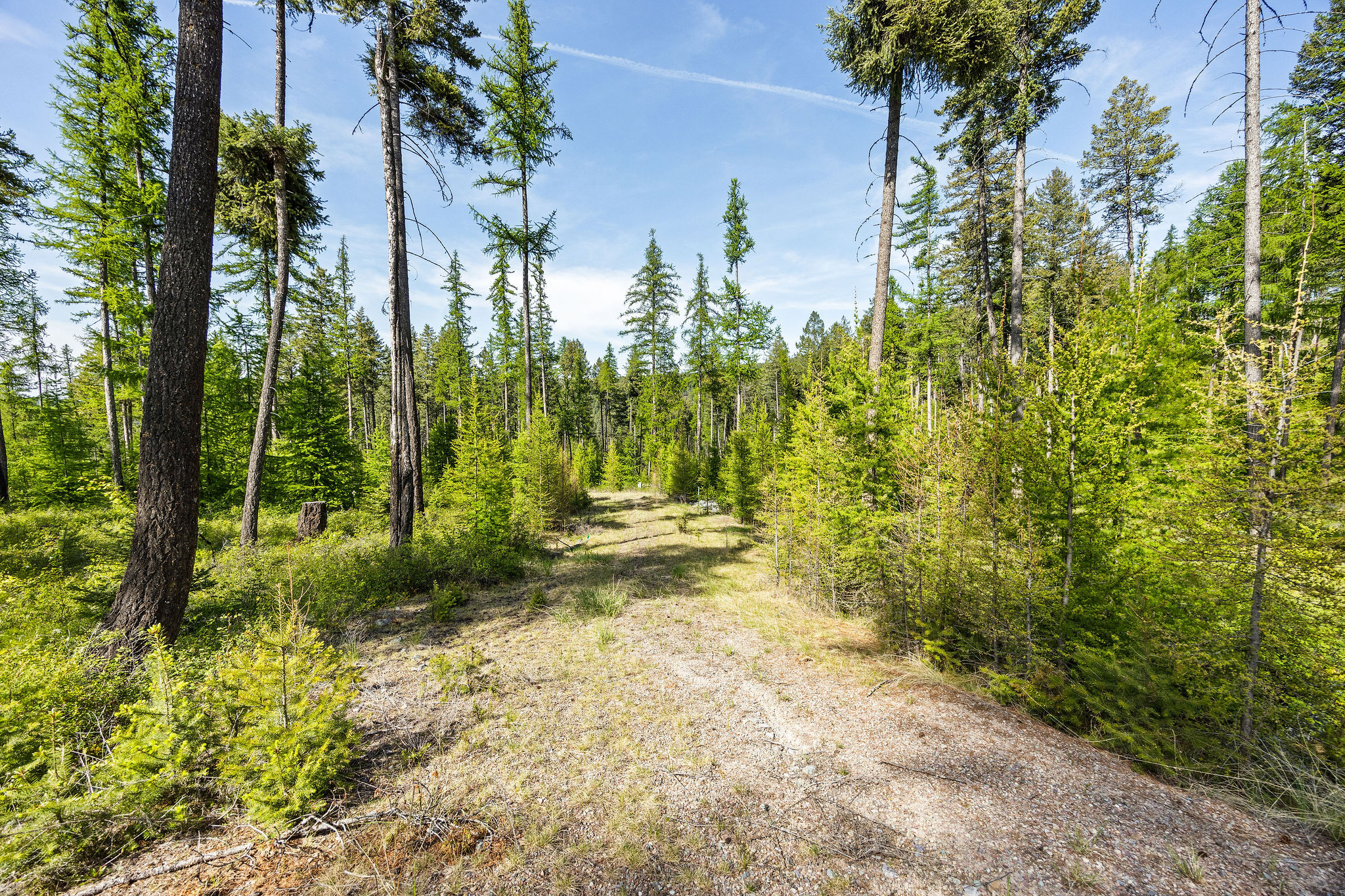 210 Trading Post Trail Property Photo 30