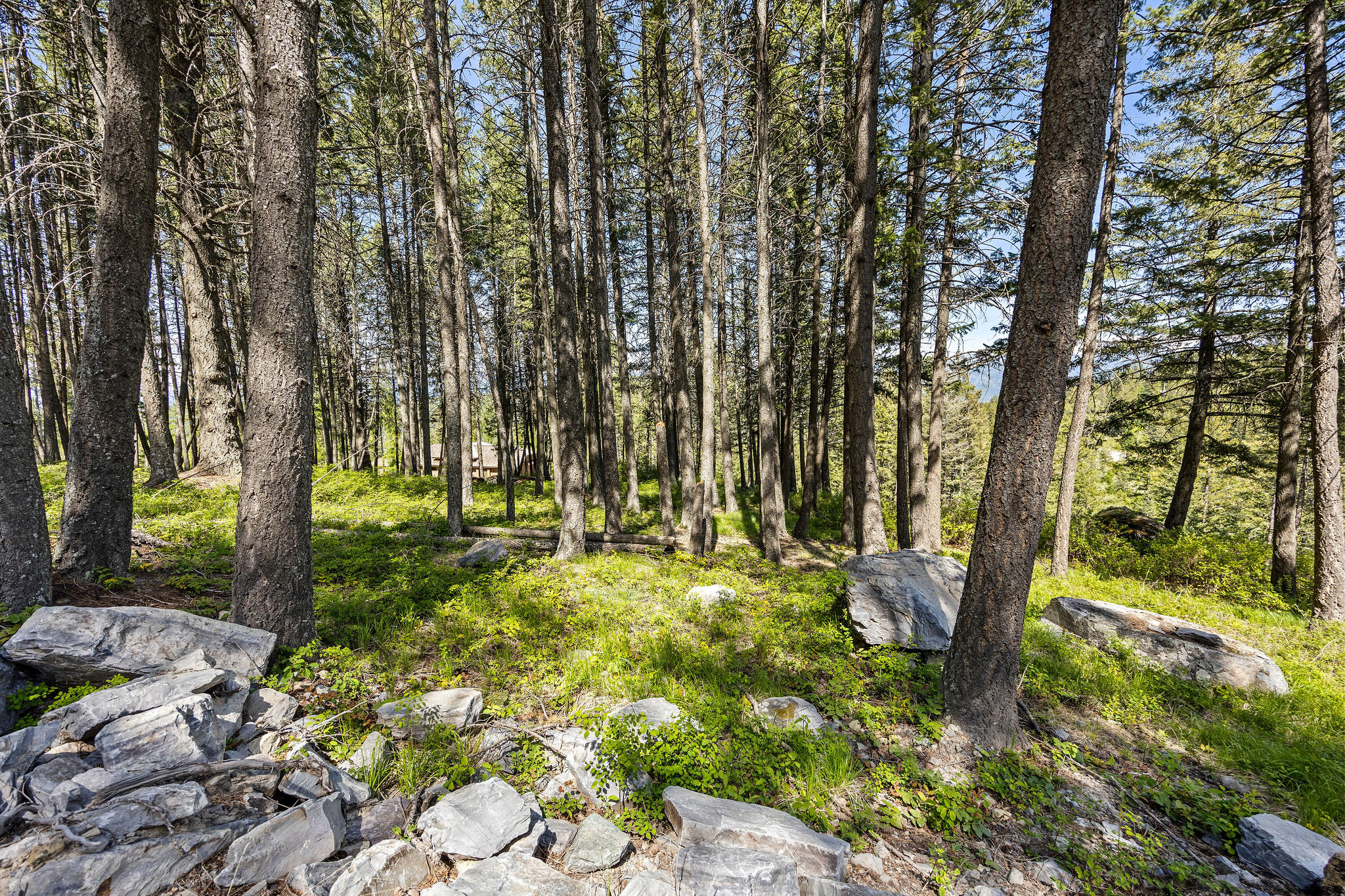 253 Chief Cliff Trail Property Photo 31