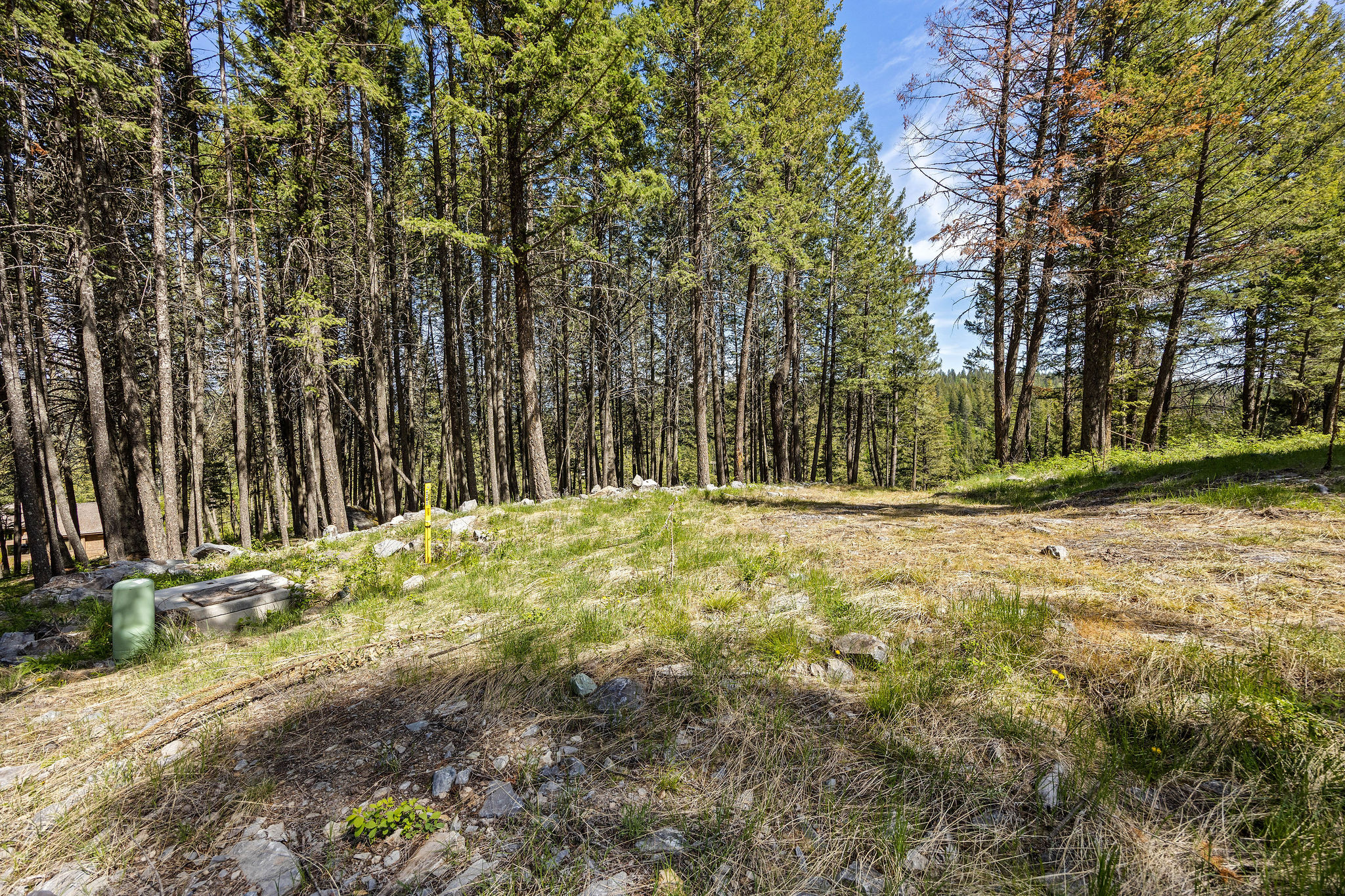 253 Chief Cliff Trail Property Photo 32
