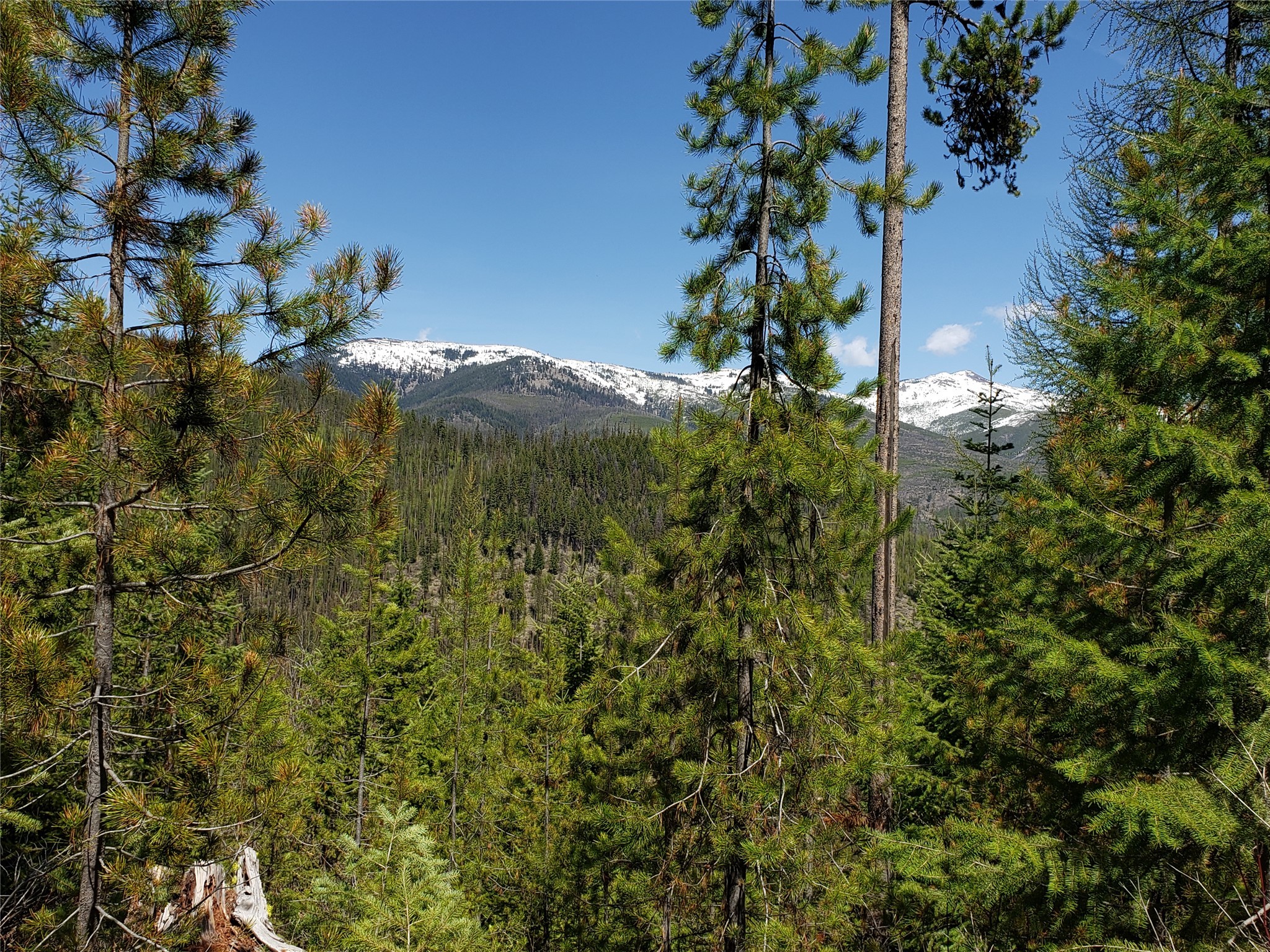Tract 11 Summit Fraction Nine Mile Road Property Photo