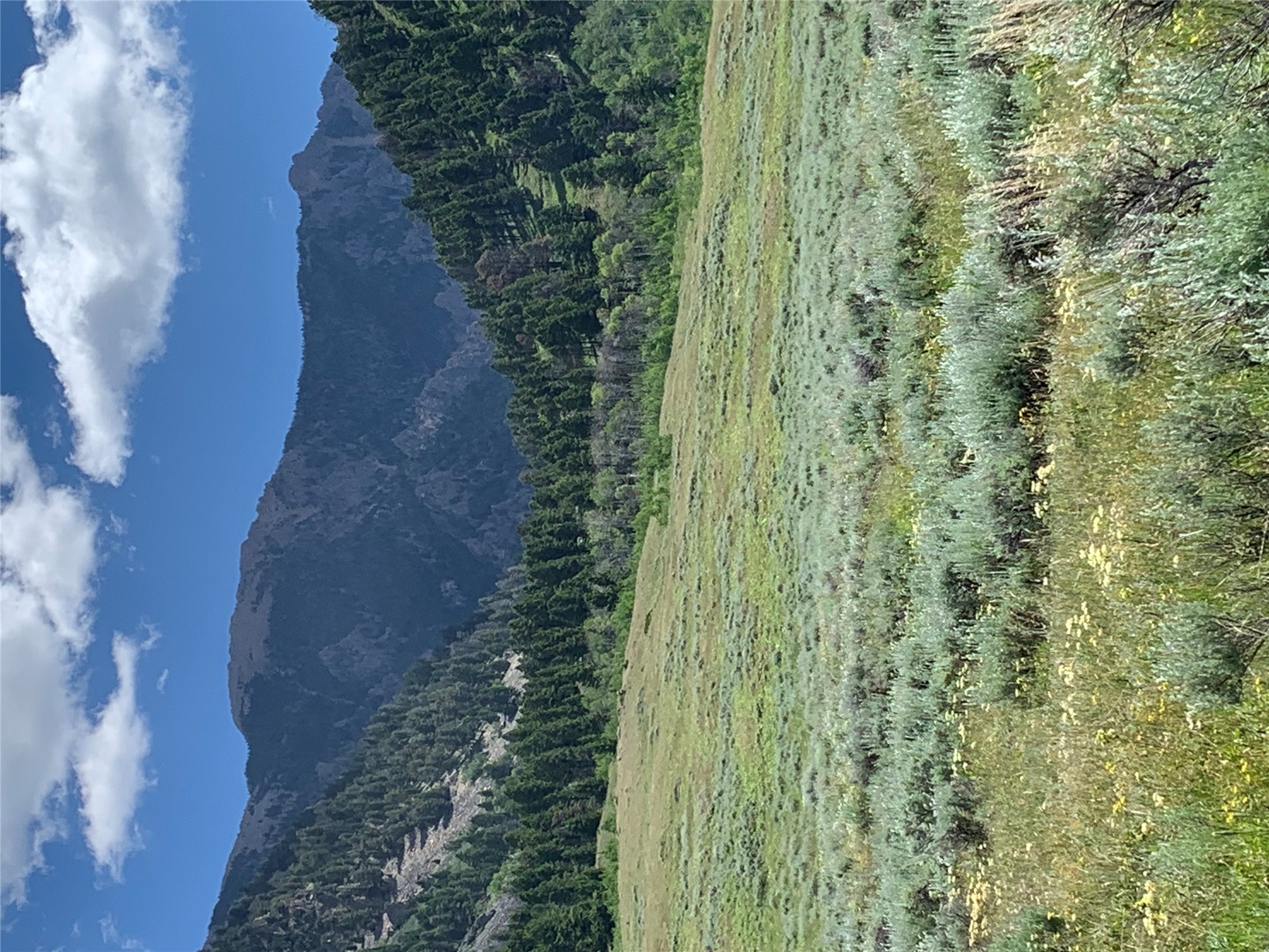 Tract 4 Slide Rock Road Property Photo