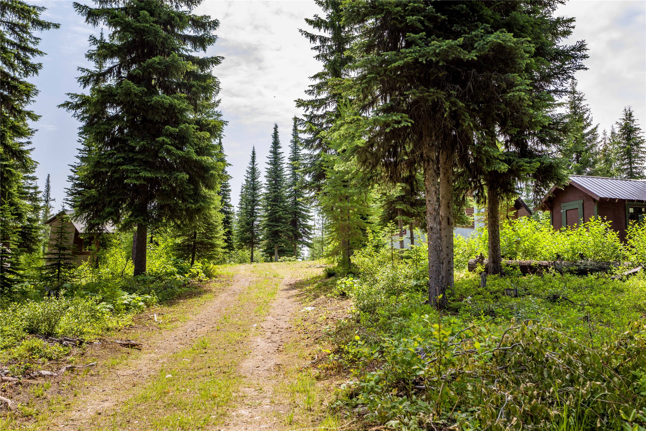 765 Trail Creek Road Property Photo 4