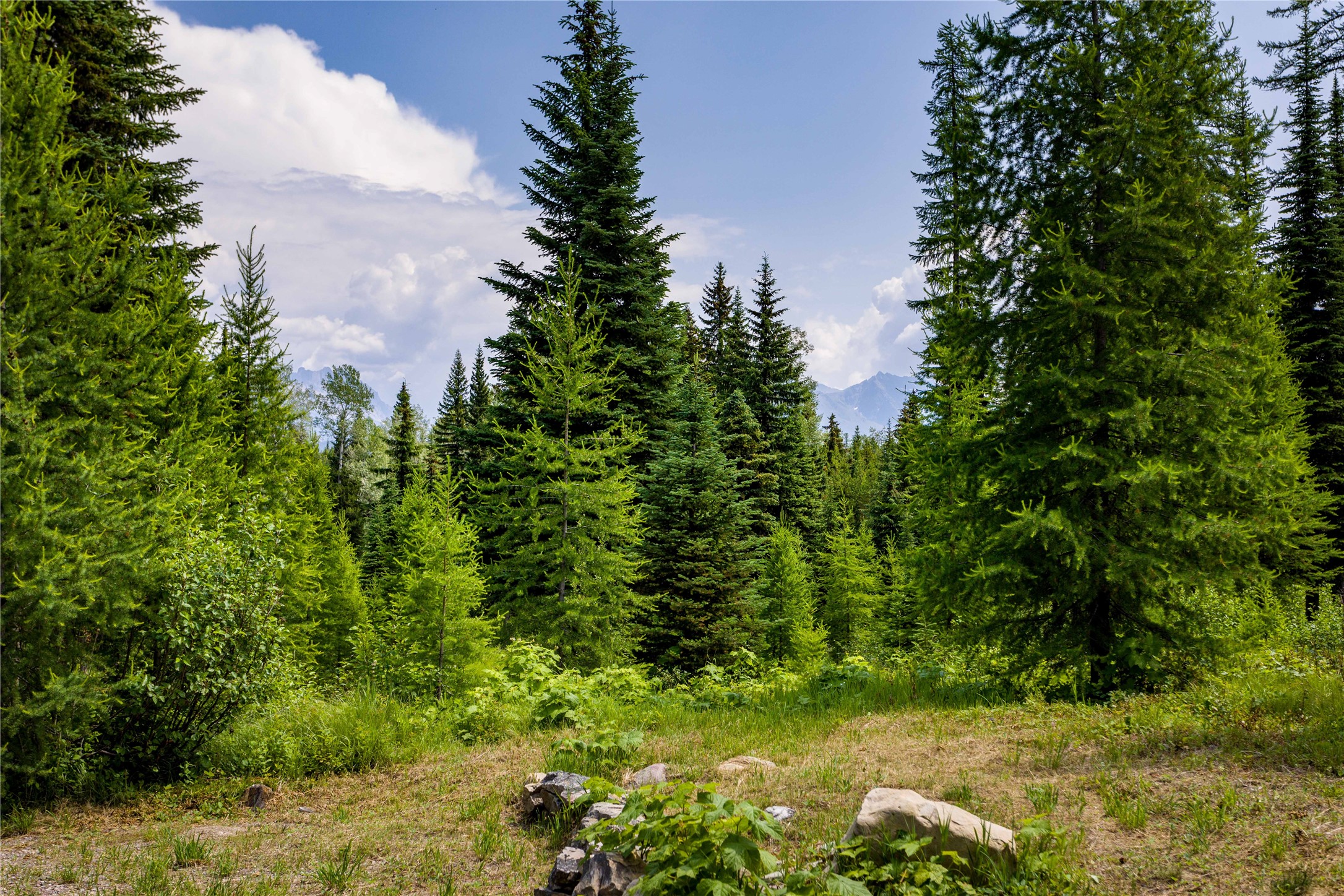765 Trail Creek Road Property Photo 15