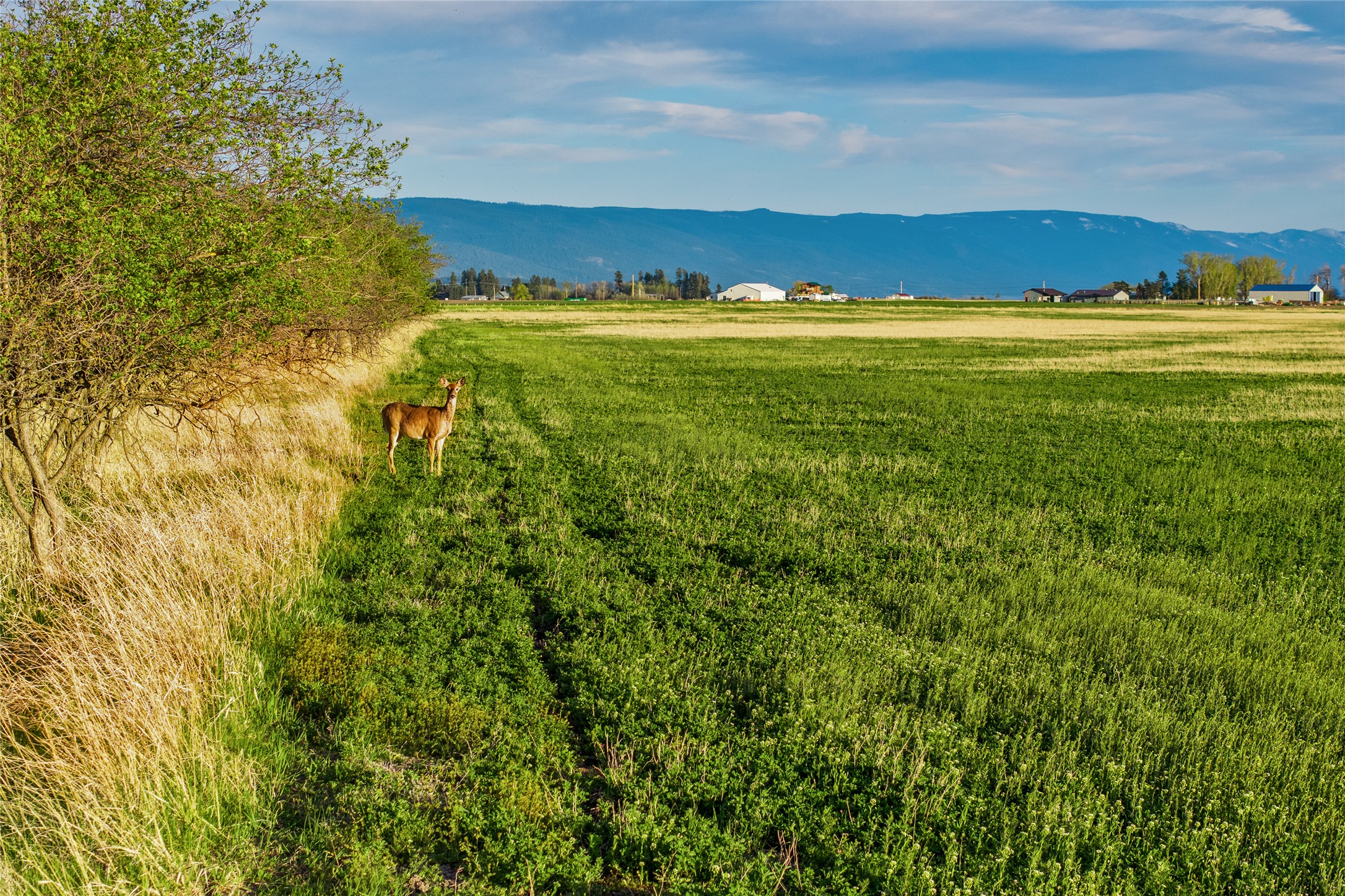 465 Farm Road Property Photo 20