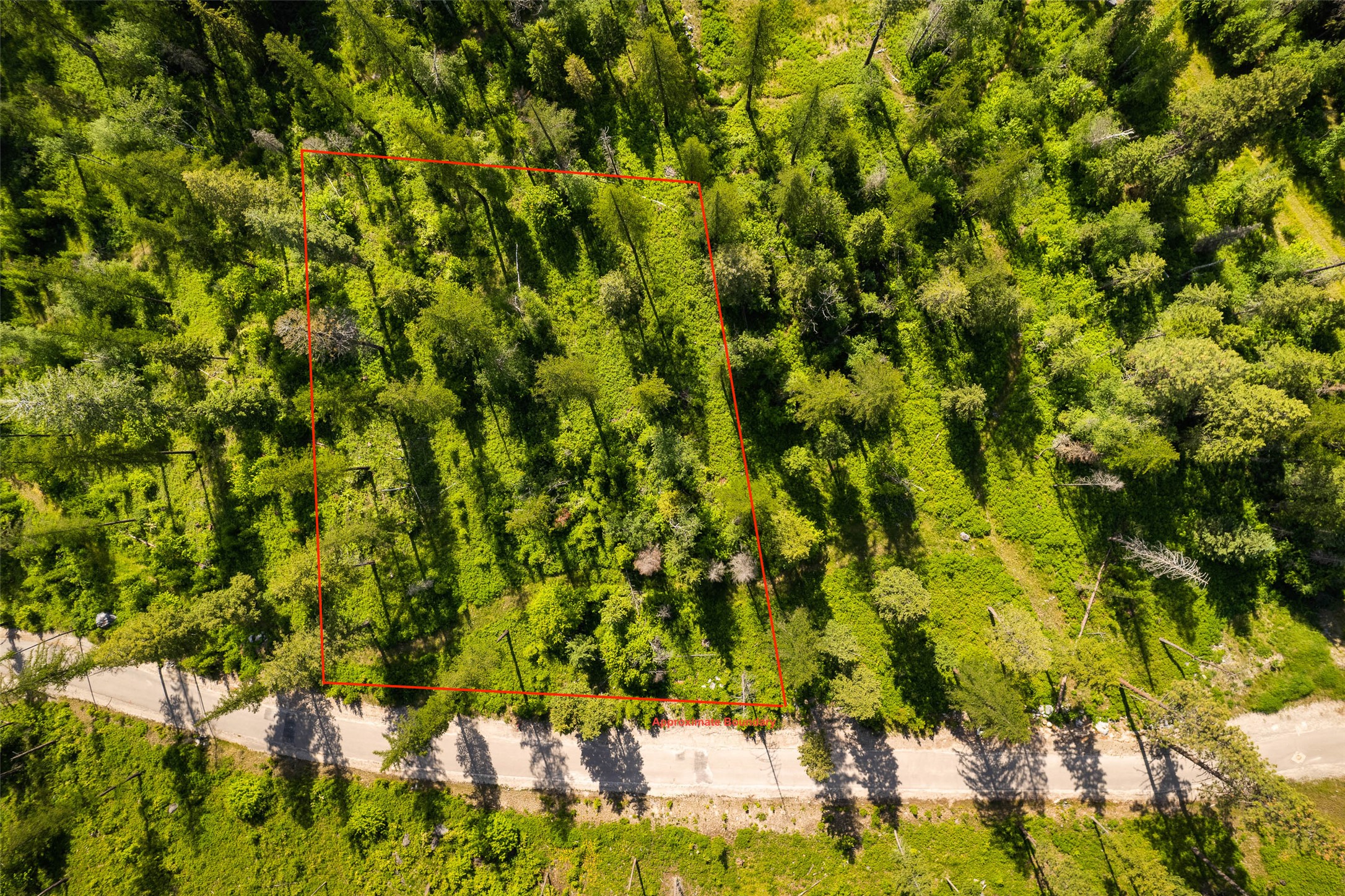453 Chief Cliff Trail Property Photo 28