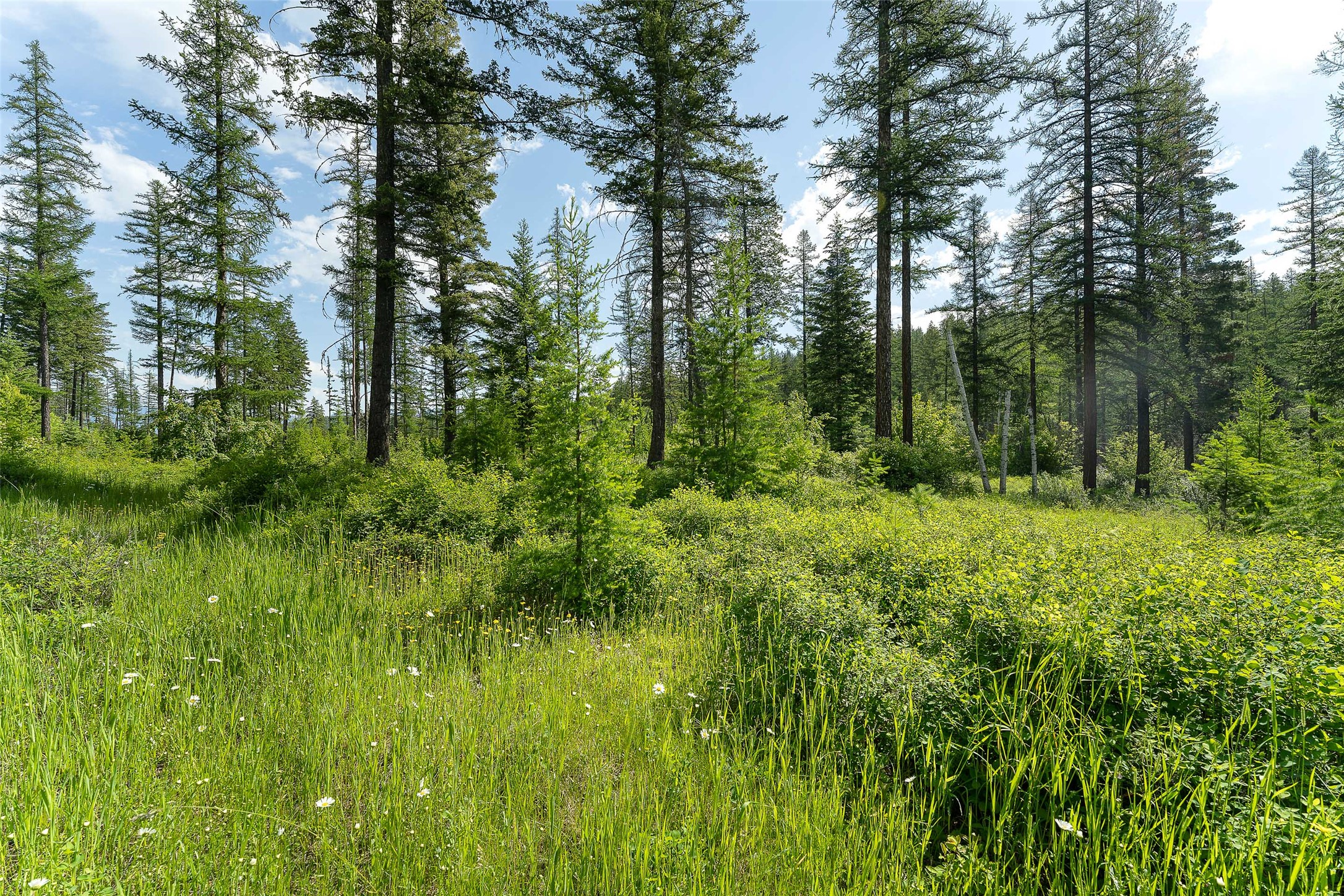 453 Chief Cliff Trail Property Photo 30