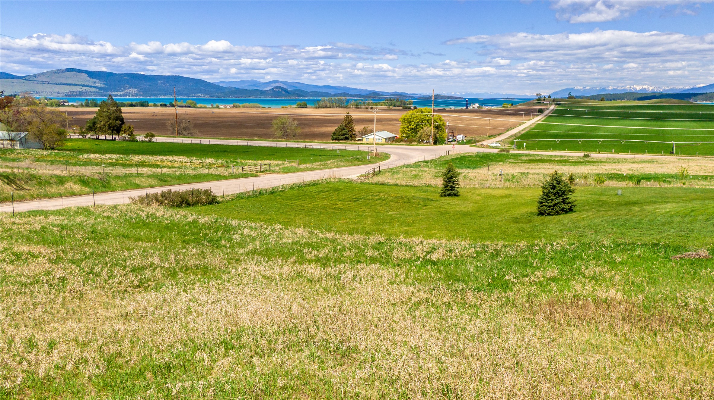 36113 Cyrus Court Property Photo 12