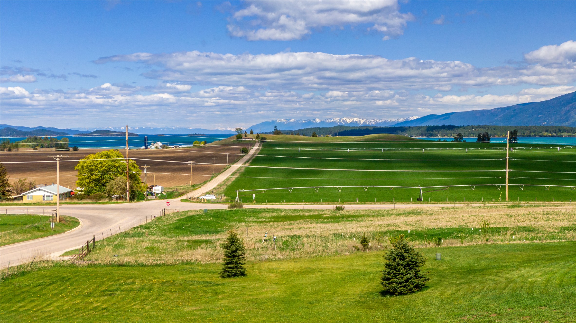 36113 Cyrus Court Property Photo 15