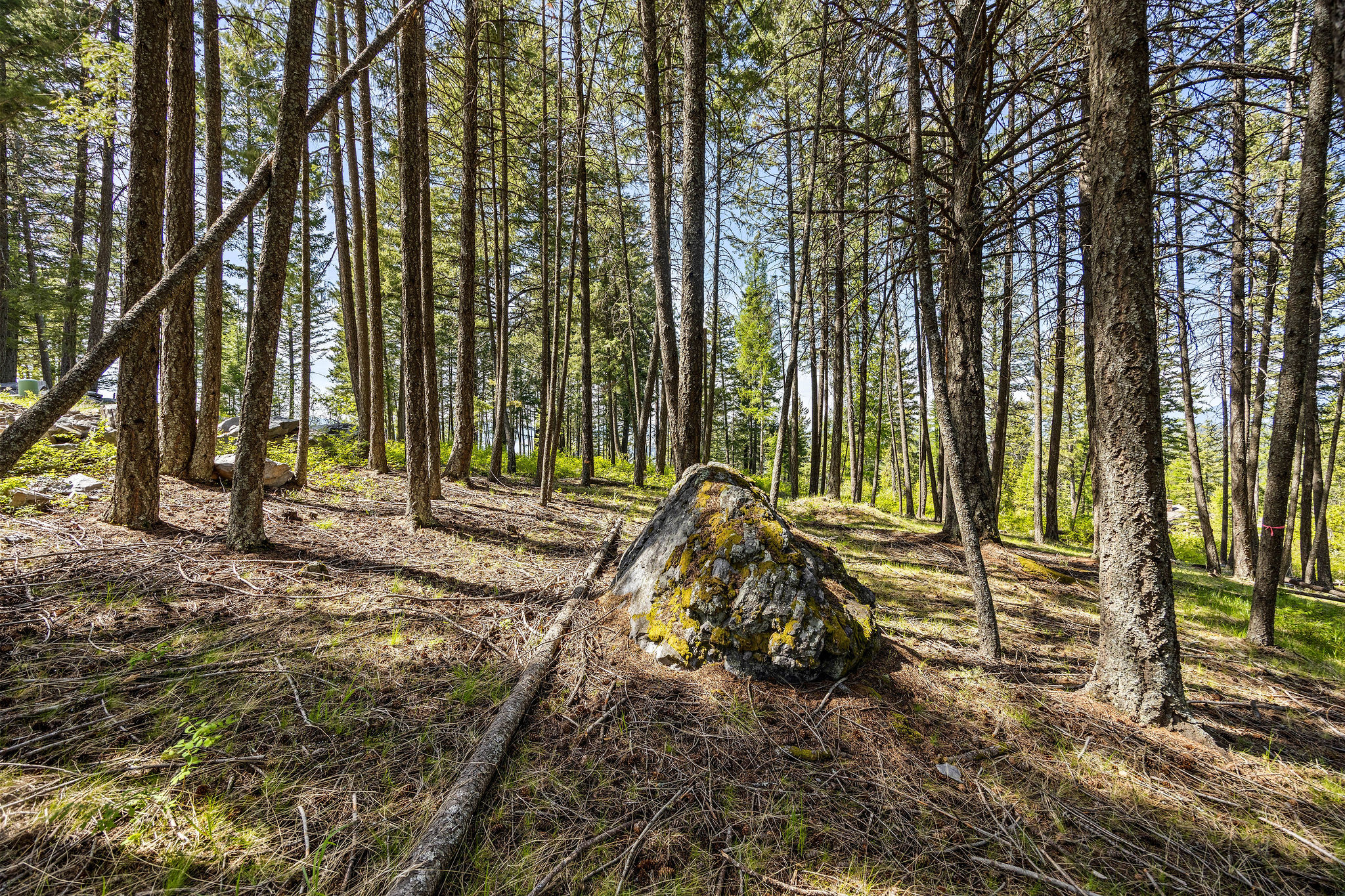 148 Trading Post Trail Property Photo 27