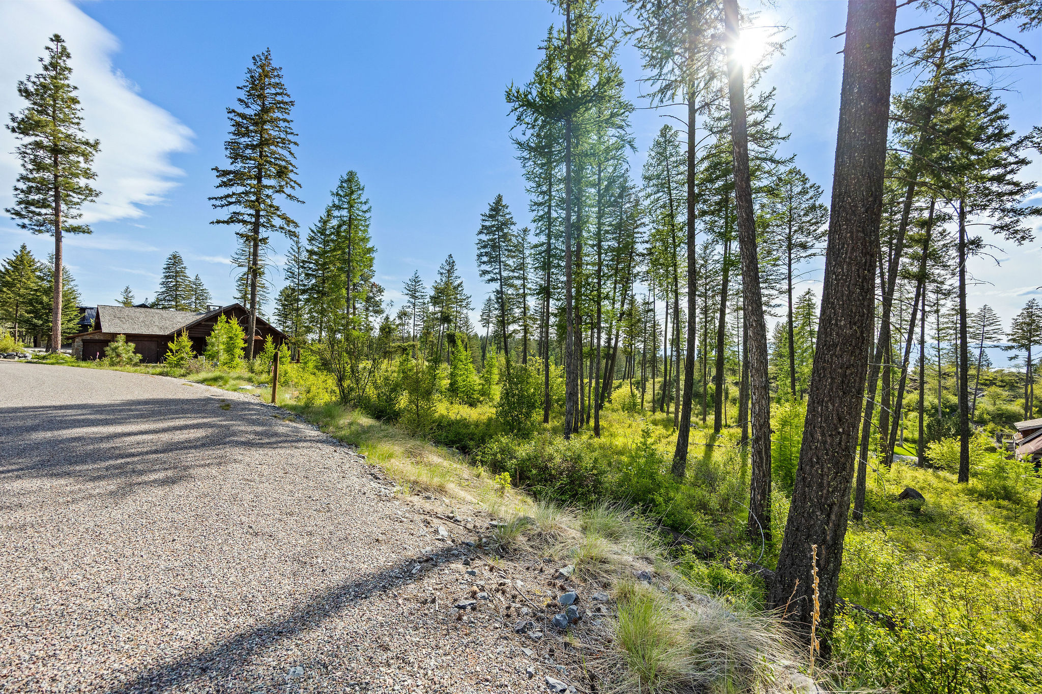 148 Trading Post Trail Property Photo 28