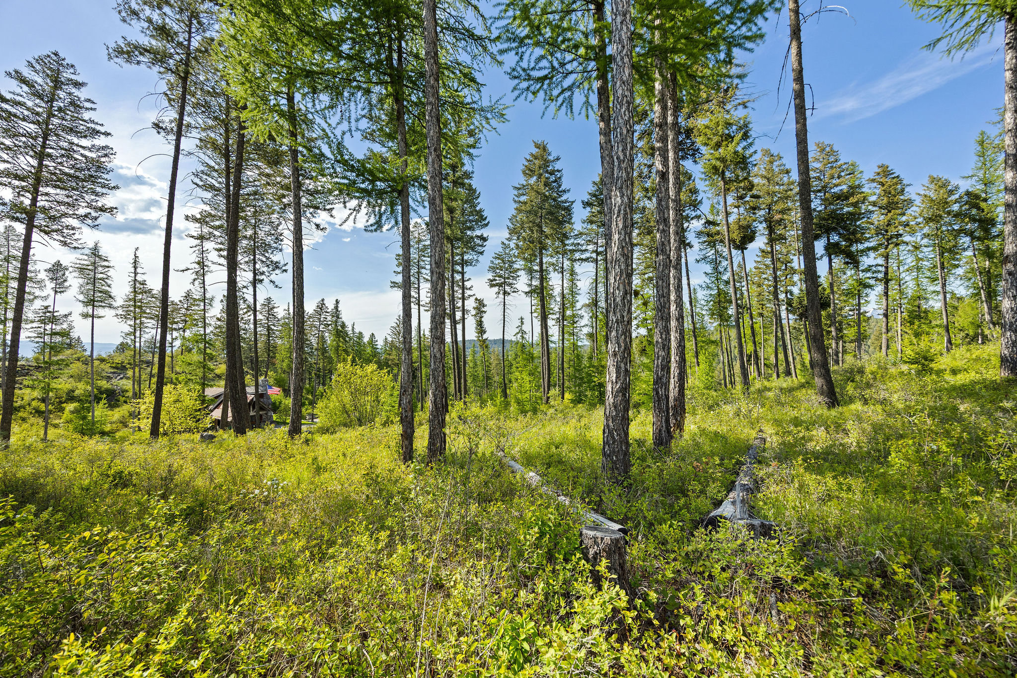 148 Trading Post Trail Property Photo 32