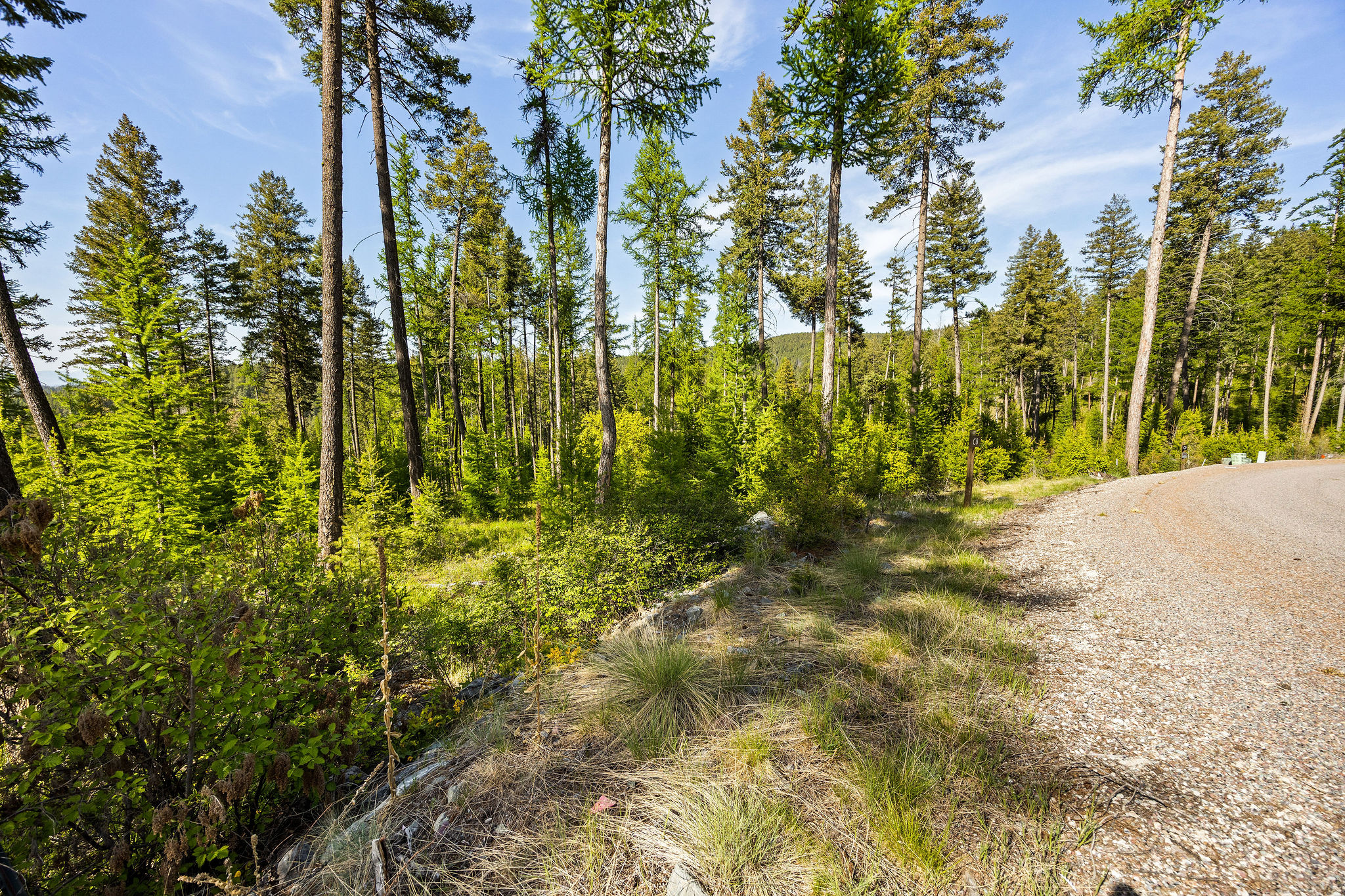 186 Trading Post Trail Property Photo 29