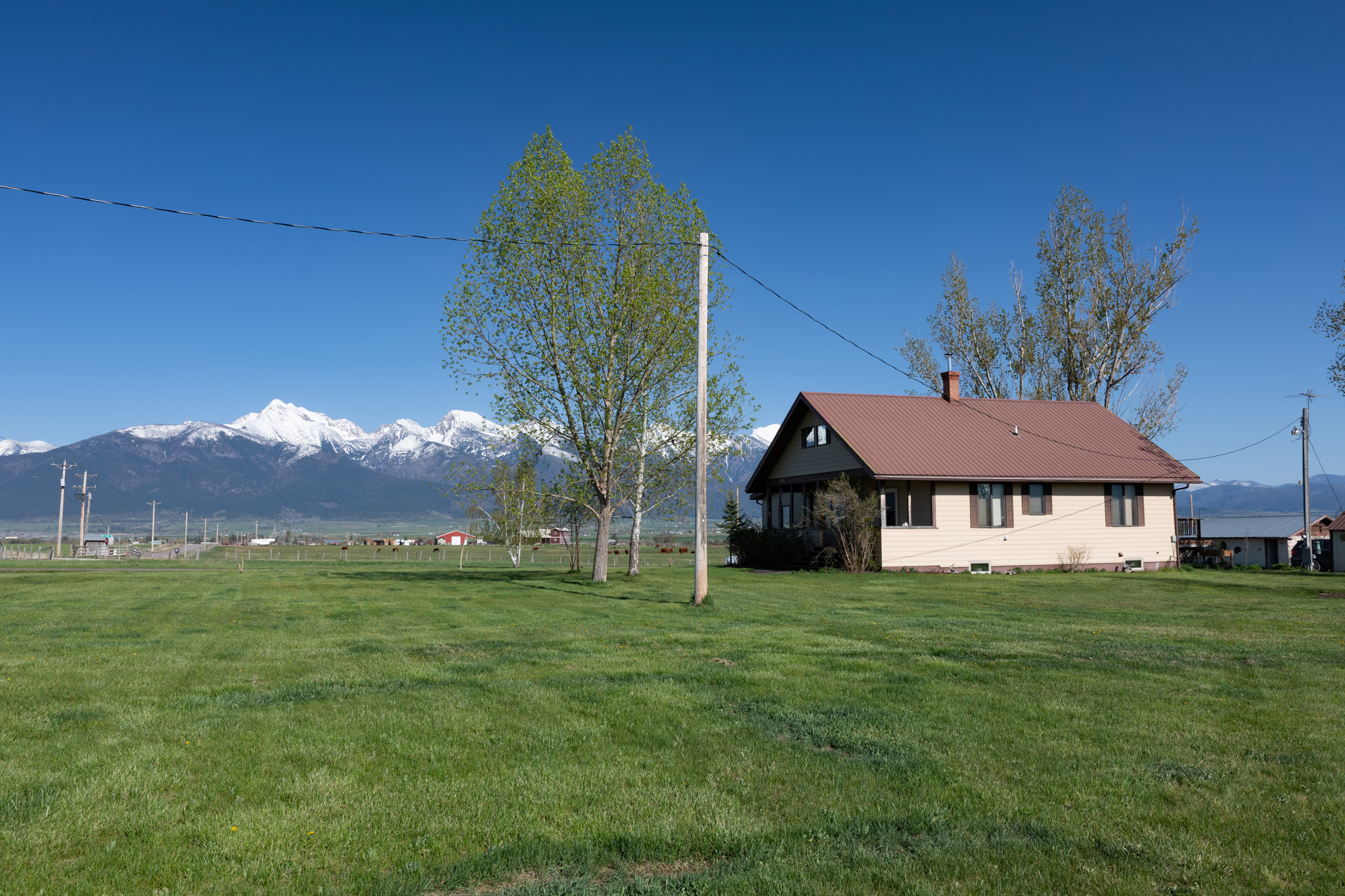 37521 Dublin Gulch Road Property Photo 6