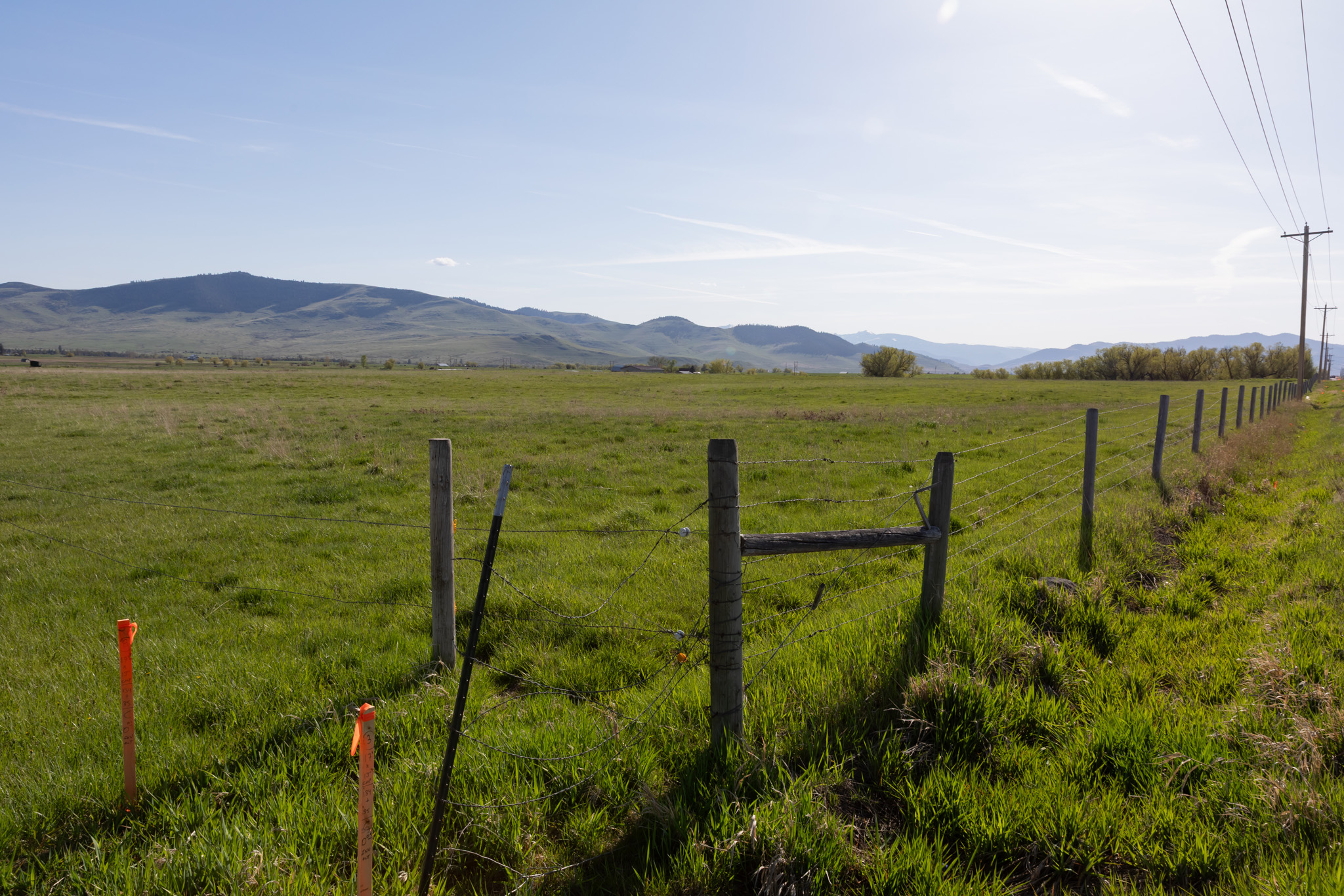 37521 Dublin Gulch Road Property Photo 19