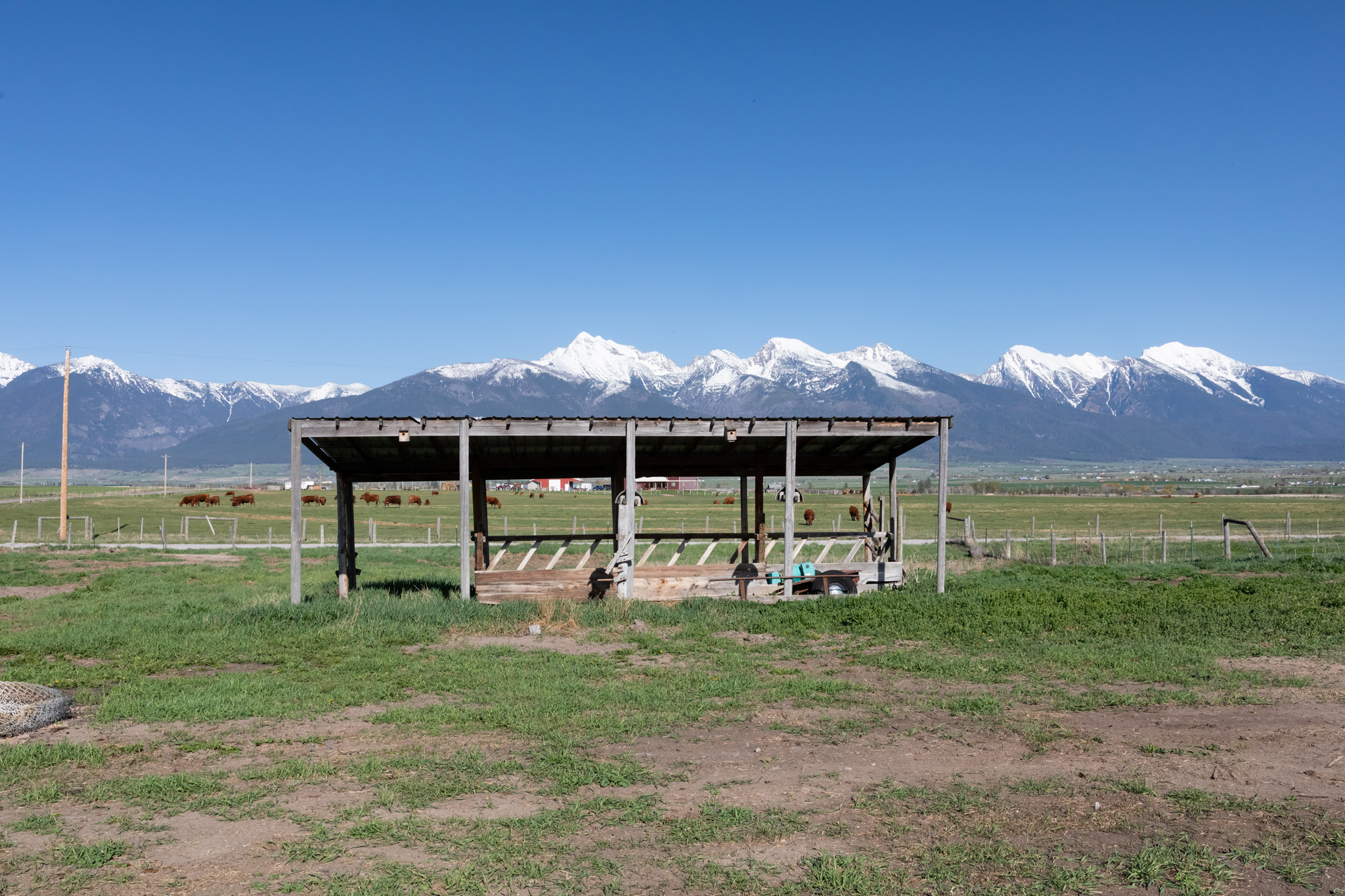 37521 Dublin Gulch Road Property Photo 22