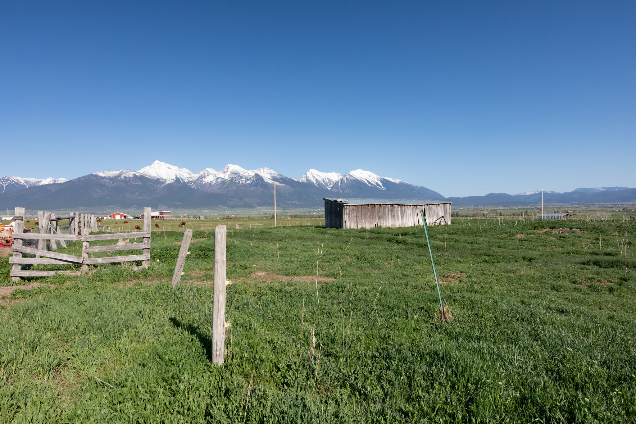 37521 Dublin Gulch Road Property Photo 23