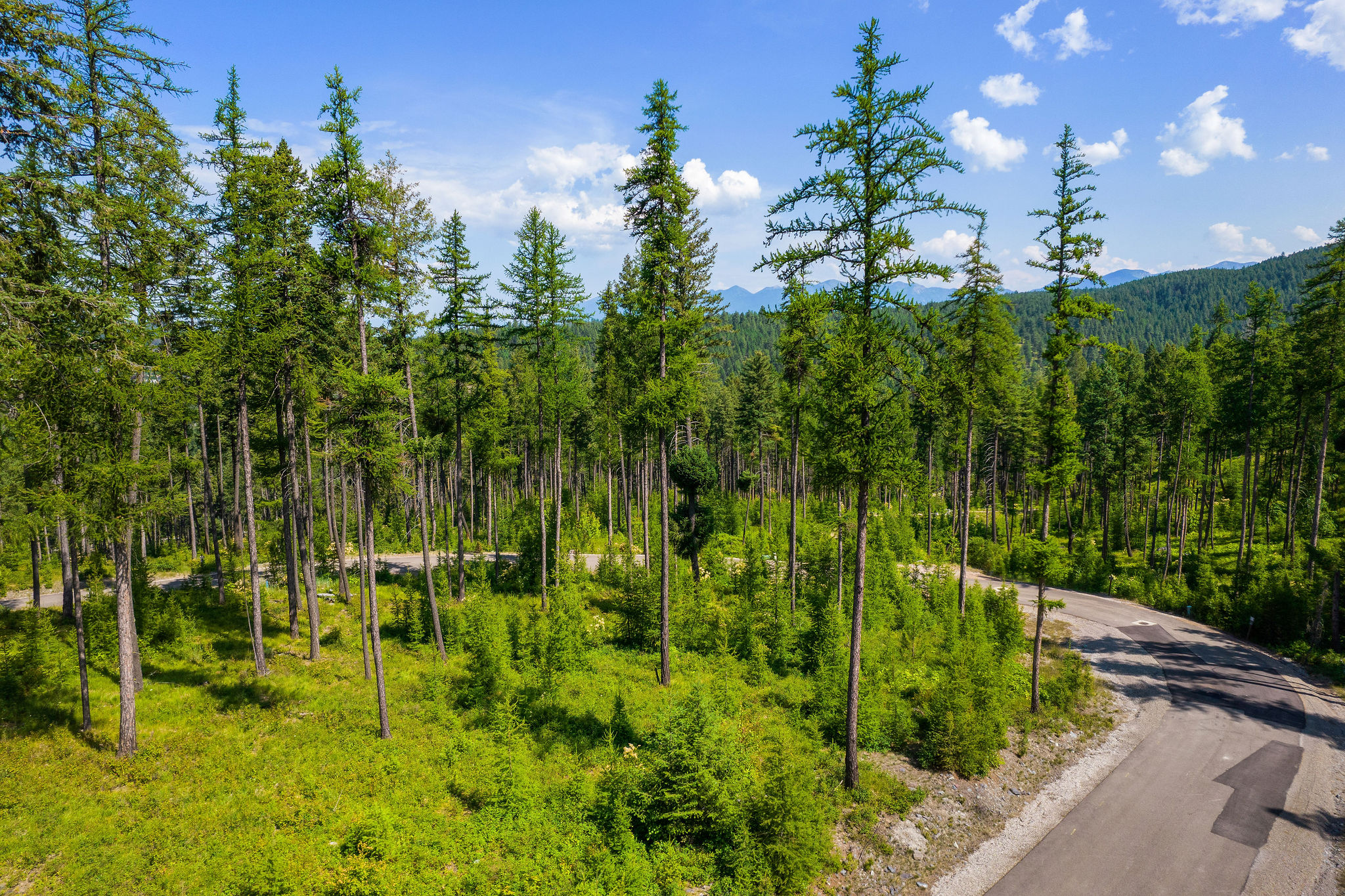 205 Trading Post Trail Property Photo 37