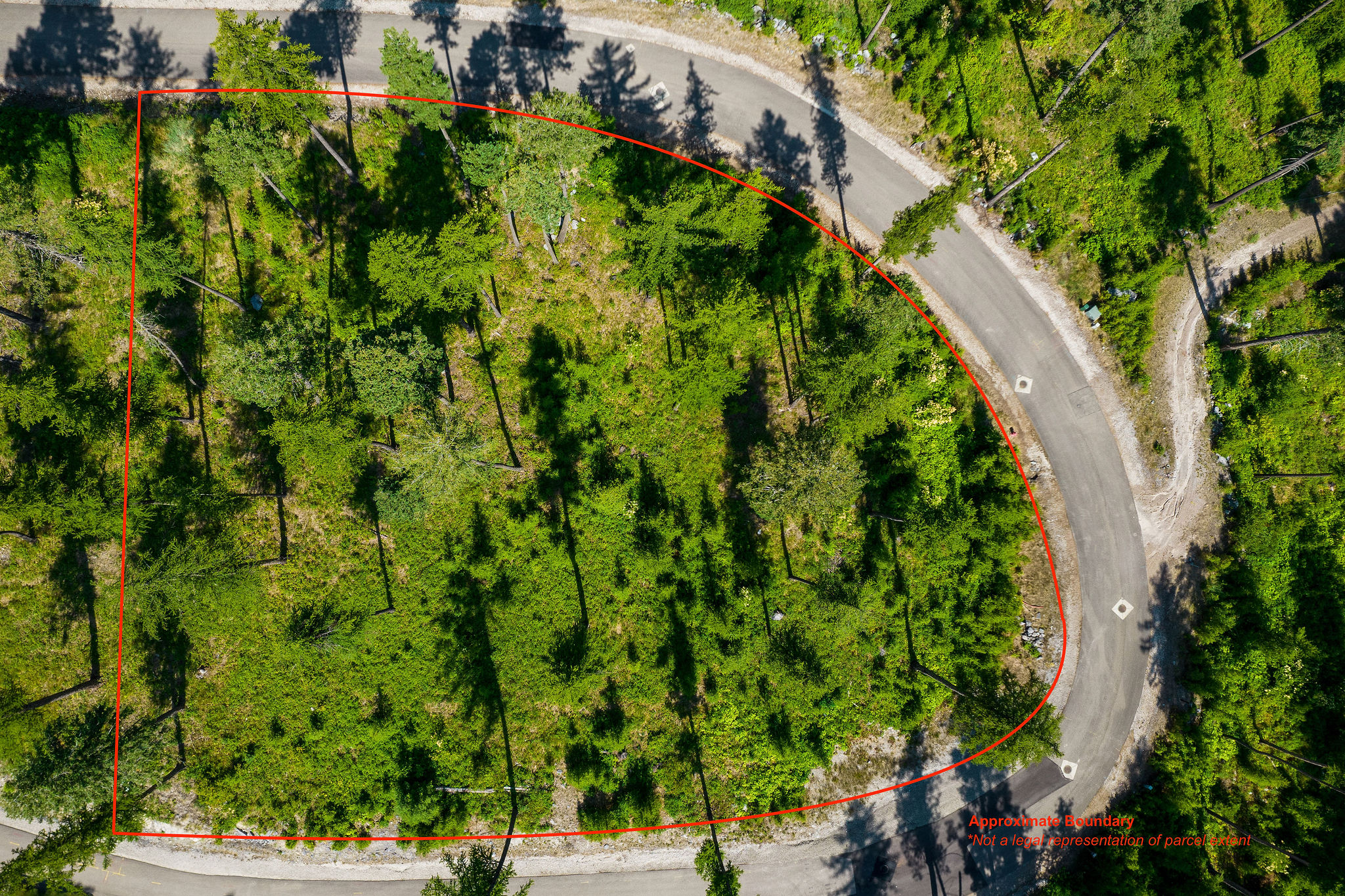 205 Trading Post Trail Property Photo 38