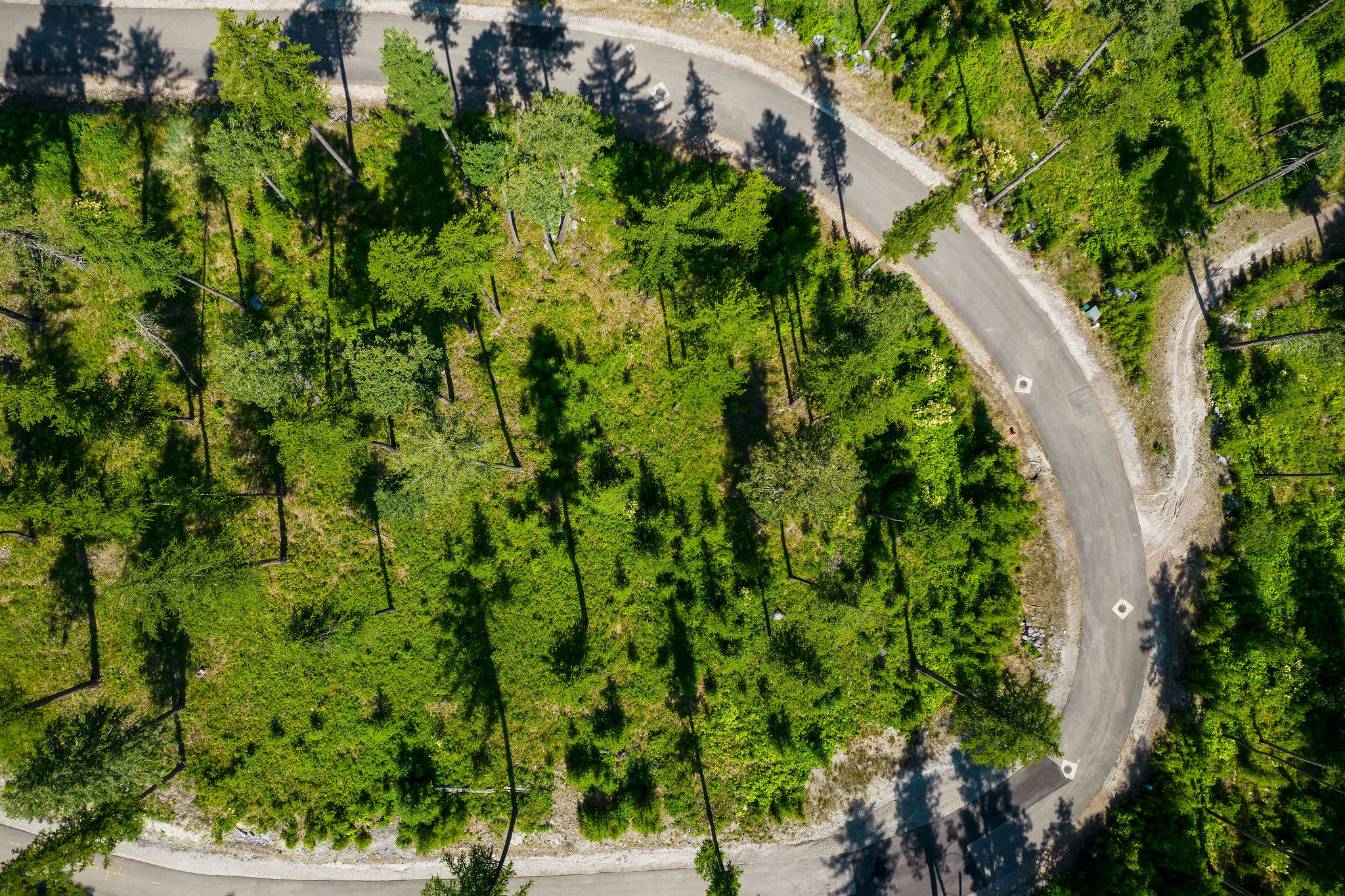 205 Trading Post Trail Property Photo 39