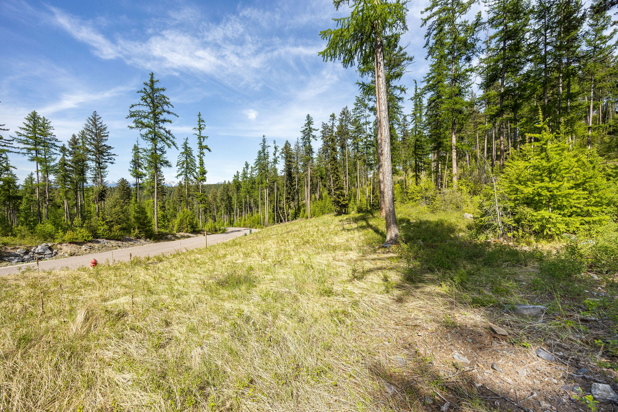 258 Trading Post Trail Property Photo 28