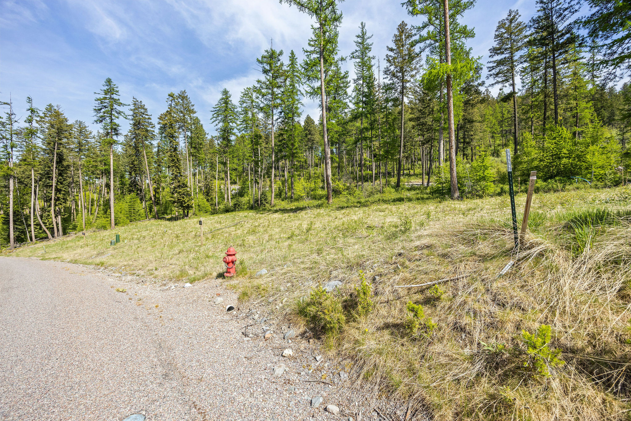 258 Trading Post Trail Property Photo 29