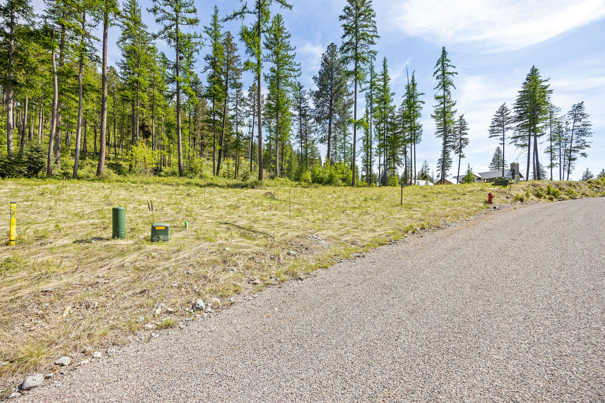 258 Trading Post Trail Property Photo 30
