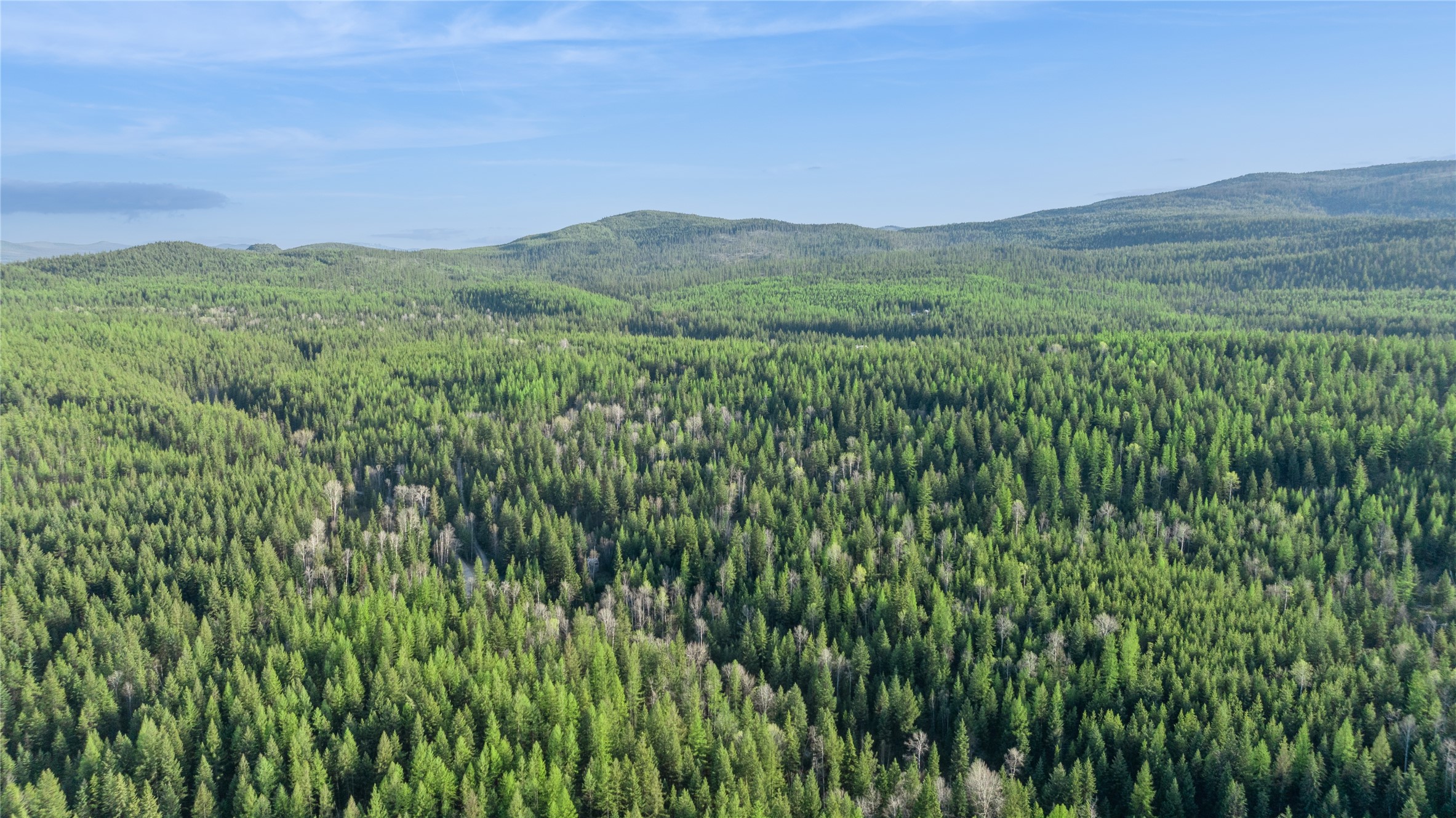 2096 Marl Lake Creek Road Property Photo 7