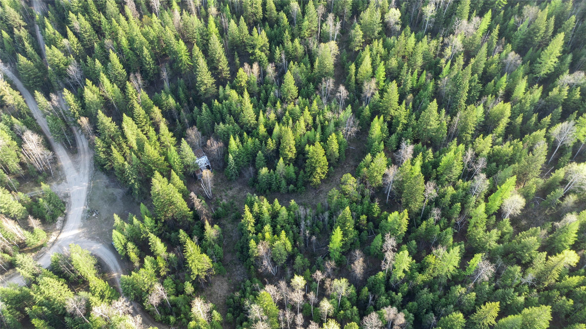 2096 Marl Lake Creek Road Property Photo 8