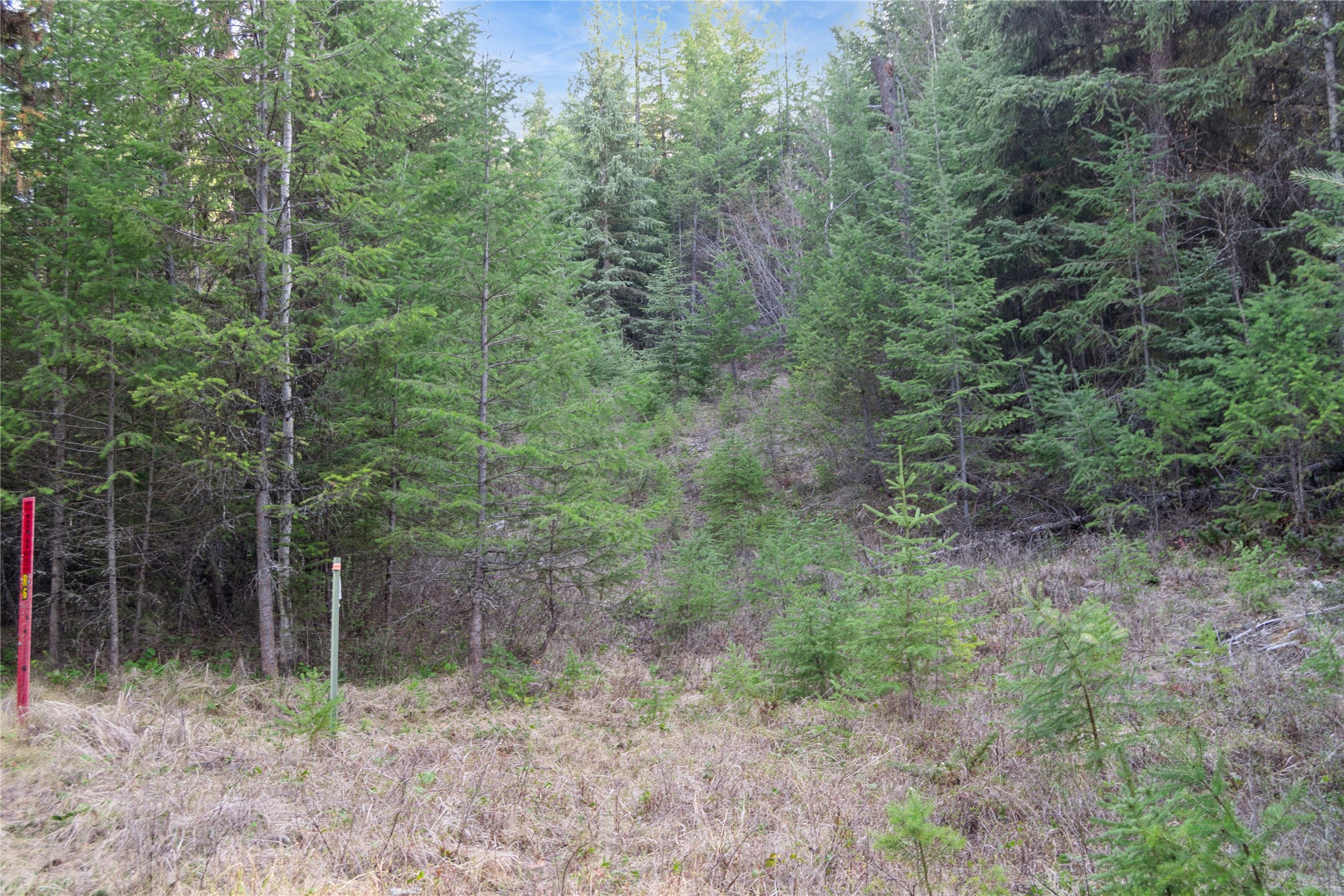 2096 Marl Lake Creek Road Property Photo 9