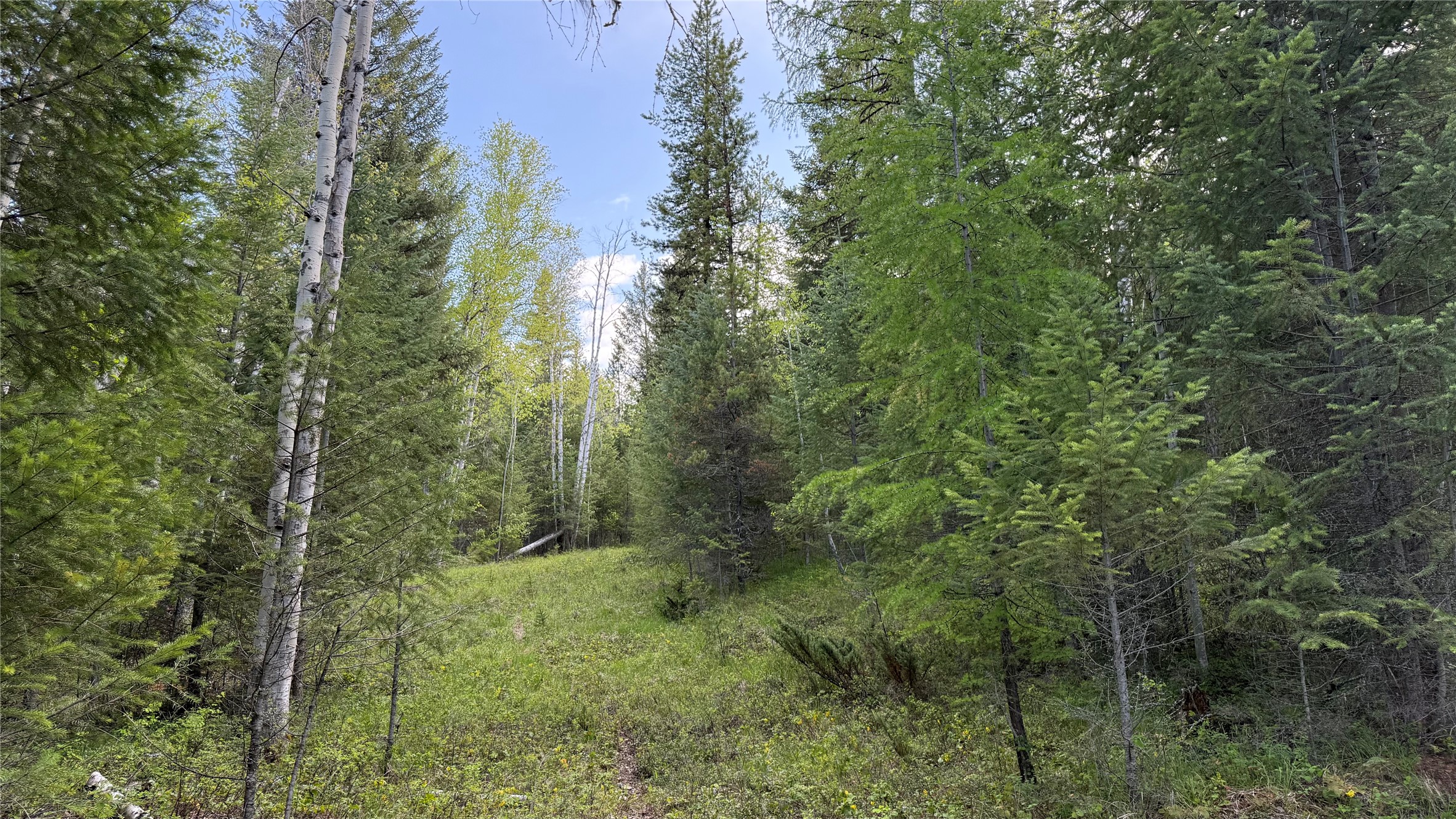 2096 Marl Lake Creek Road Property Photo 11