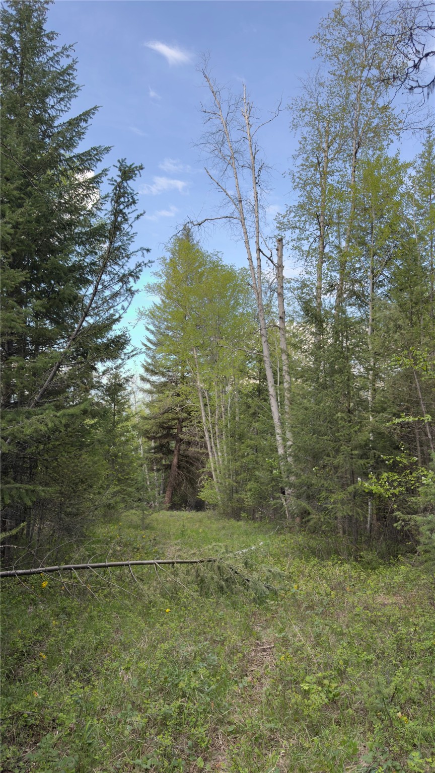 2096 Marl Lake Creek Road Property Photo 12