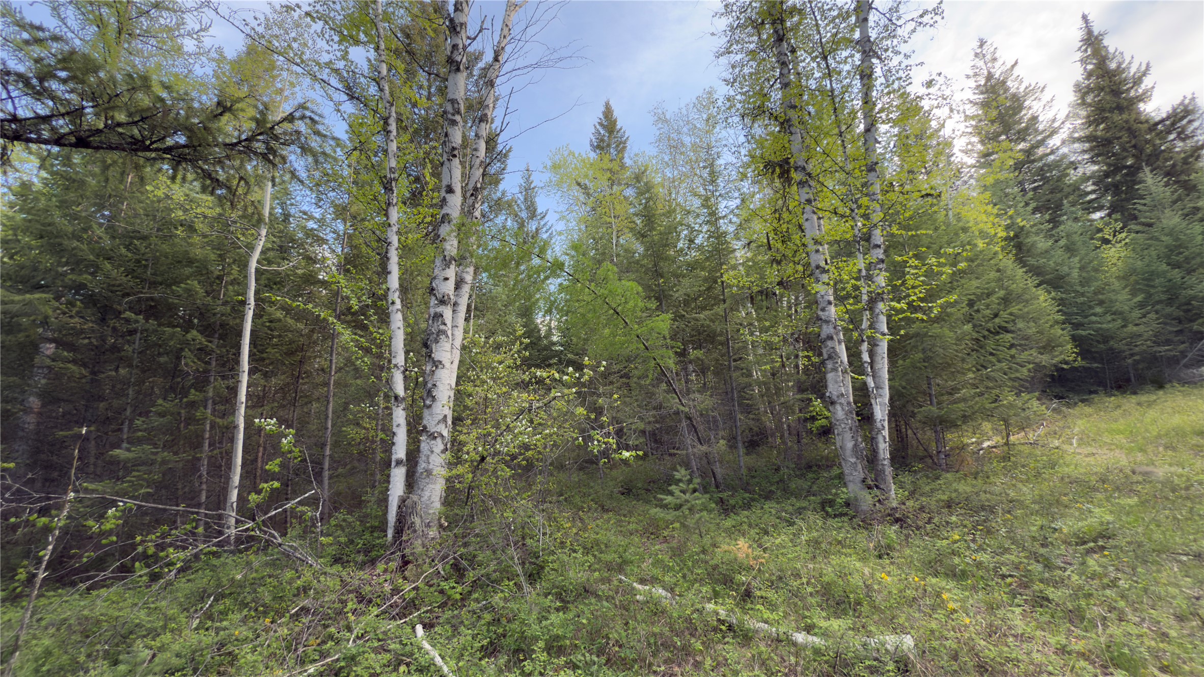 2096 Marl Lake Creek Road Property Photo 13