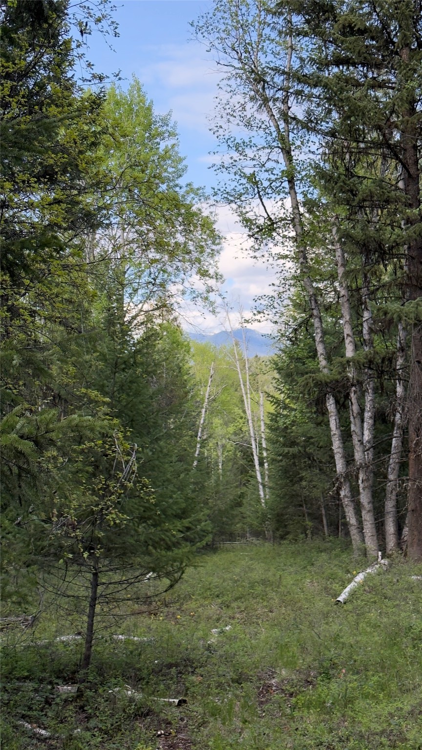 2096 Marl Lake Creek Road Property Photo 14