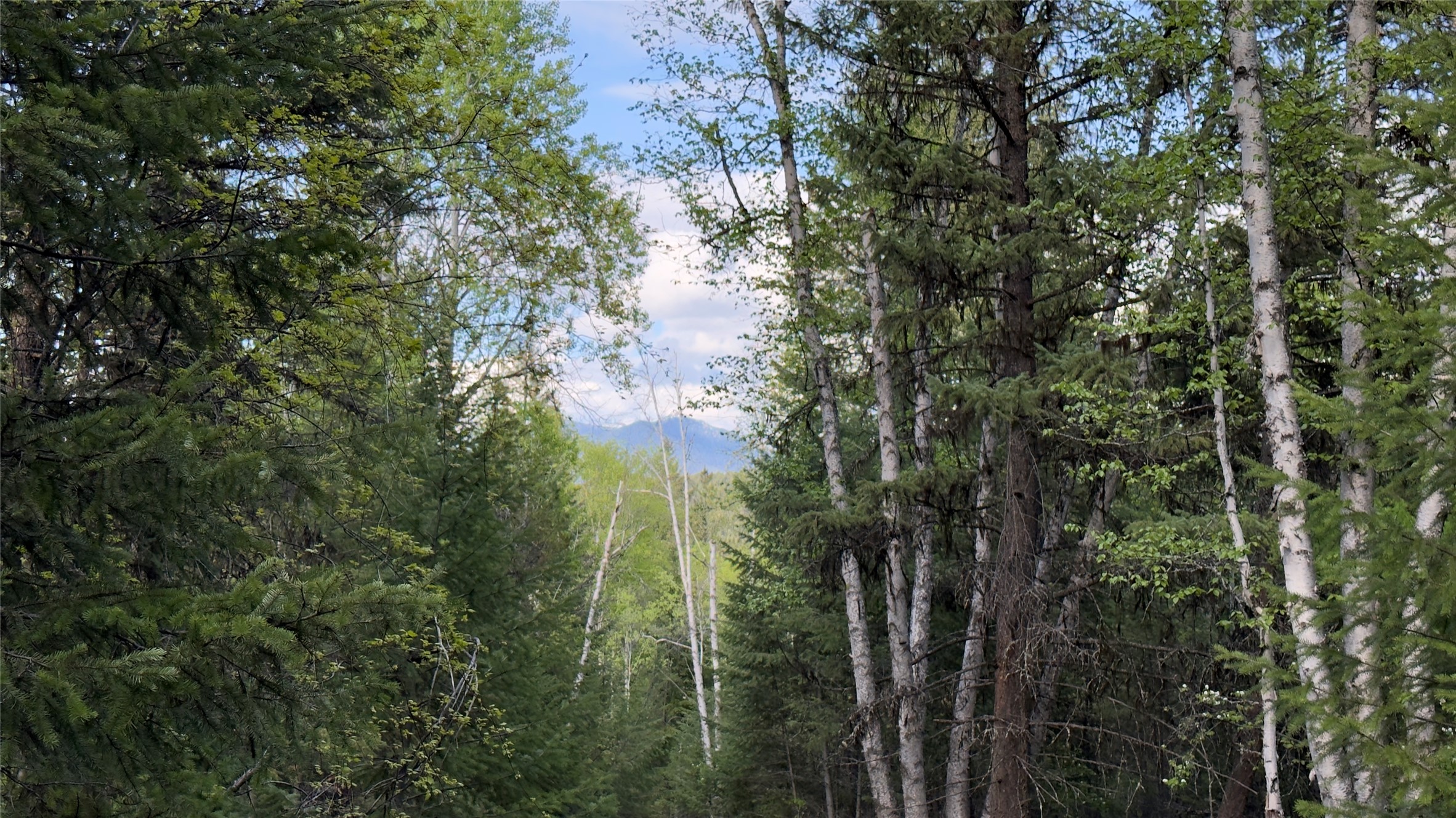 2096 Marl Lake Creek Road Property Photo 15