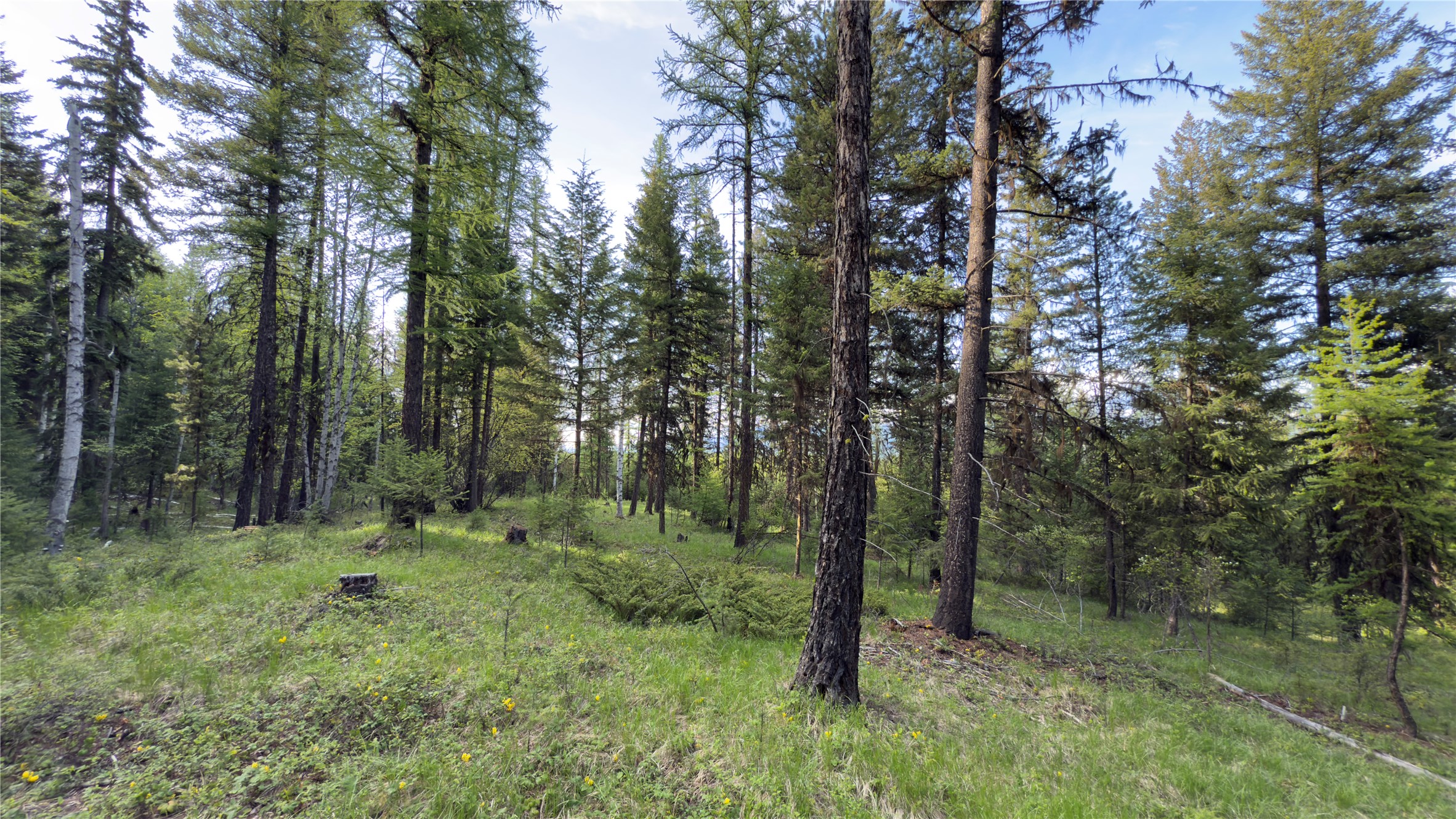 2096 Marl Lake Creek Road Property Photo 16