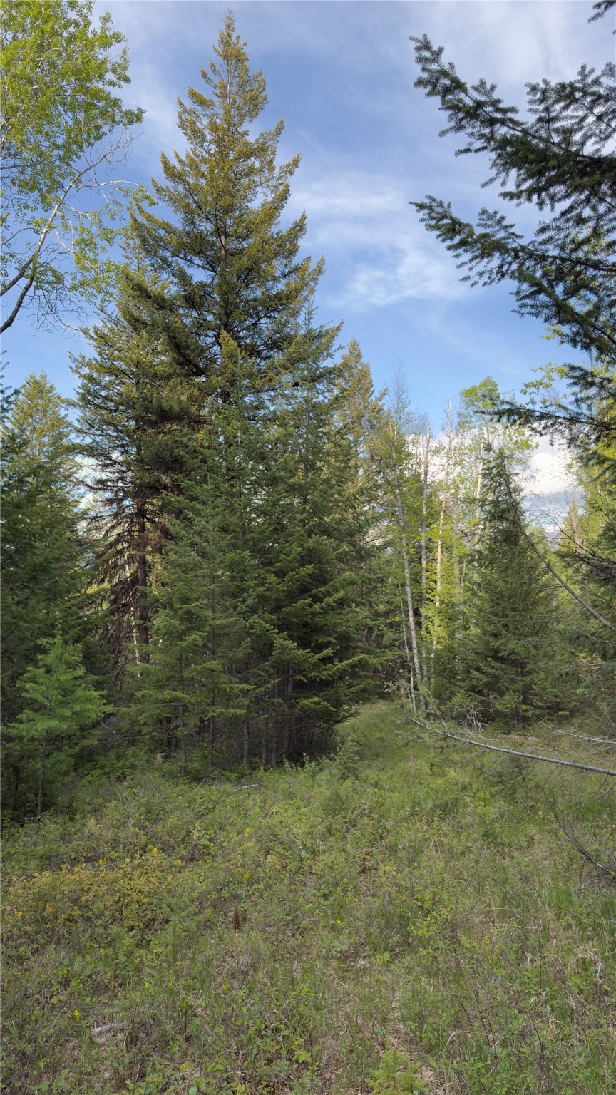 2096 Marl Lake Creek Road Property Photo 17