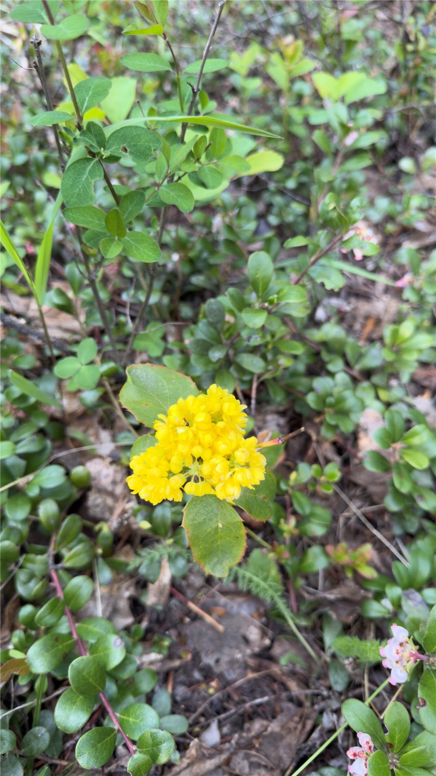 2096 Marl Lake Creek Road Property Photo 18