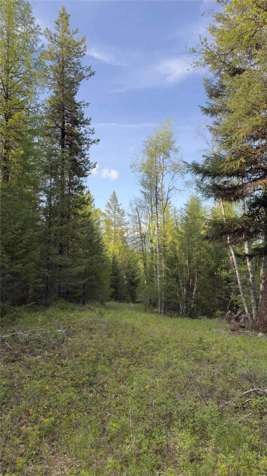 2096 Marl Lake Creek Road Property Photo 19