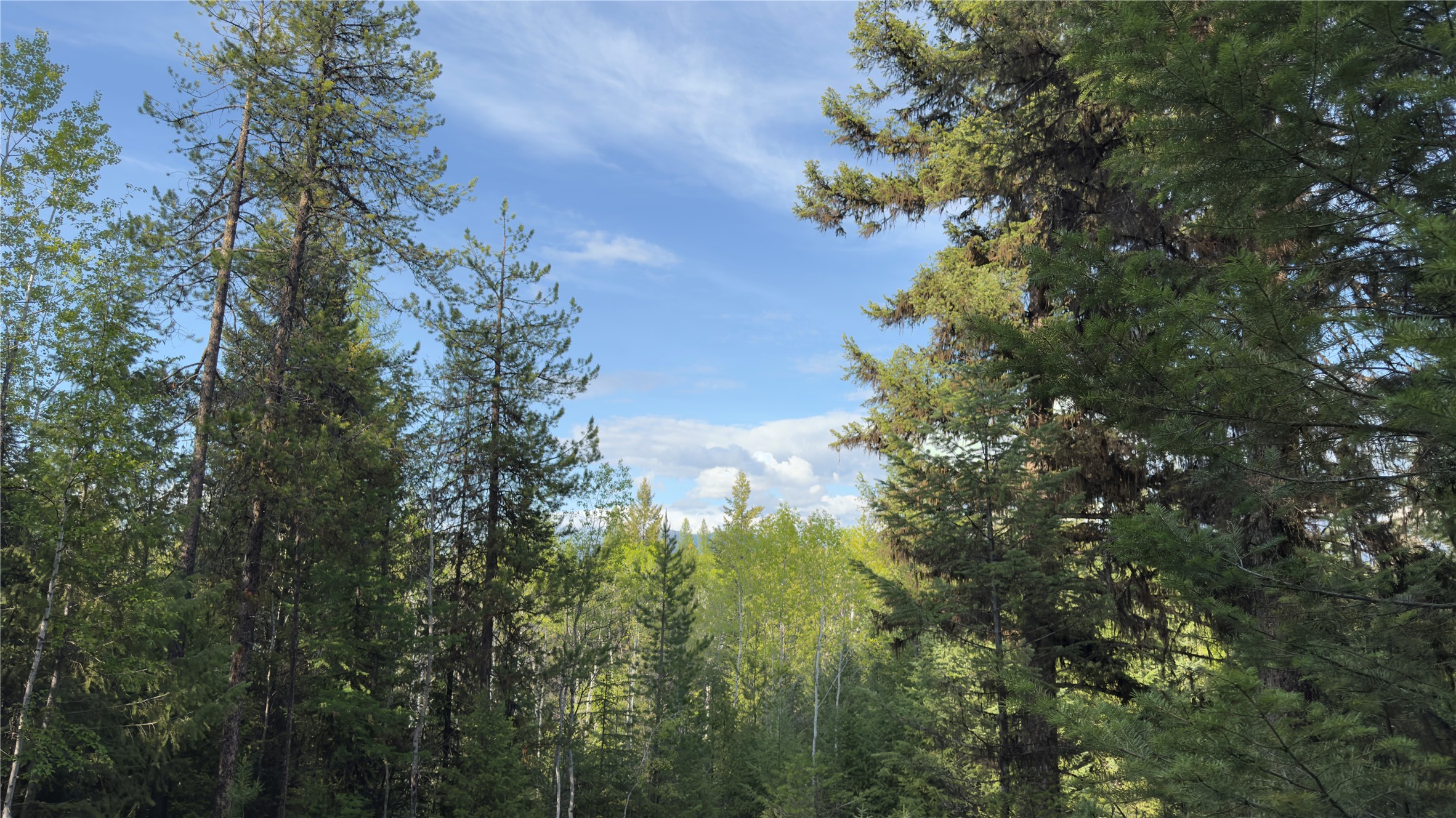 2096 Marl Lake Creek Road Property Photo 20