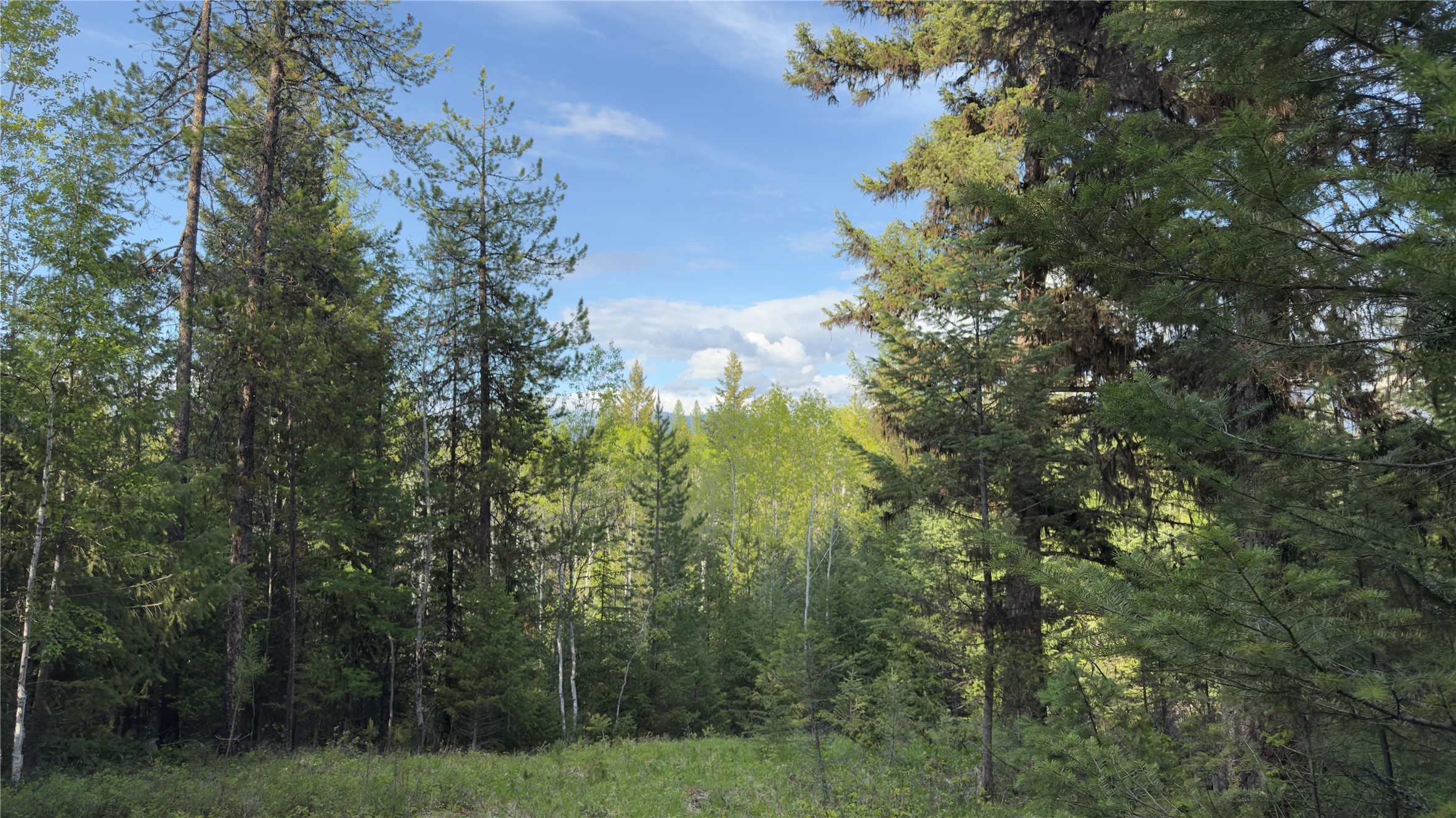 2096 Marl Lake Creek Road Property Photo 21