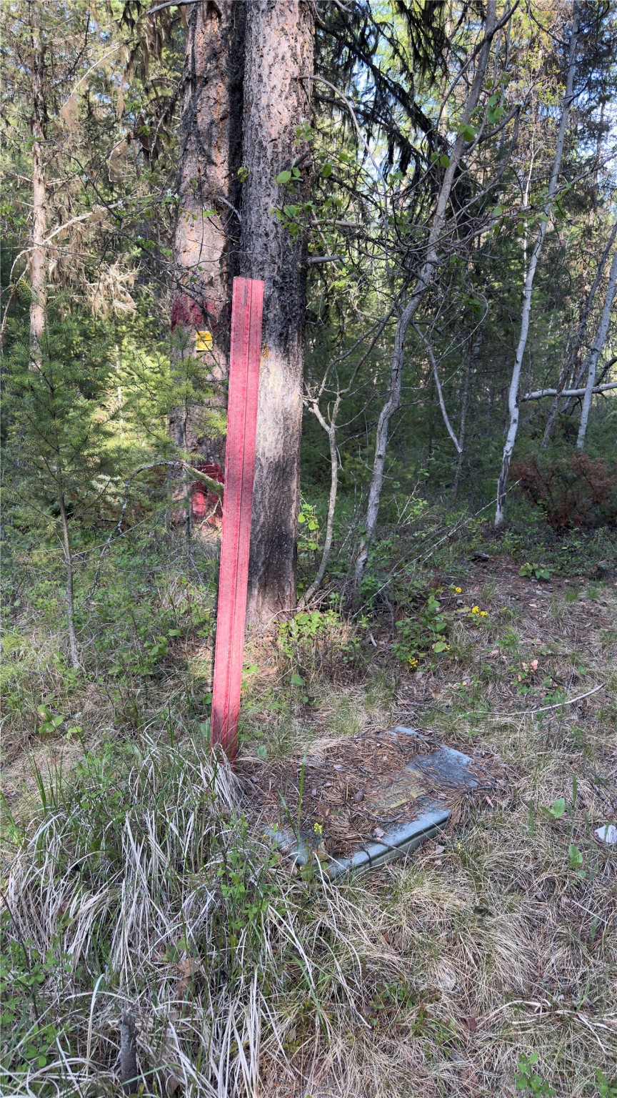 2096 Marl Lake Creek Road Property Photo 24