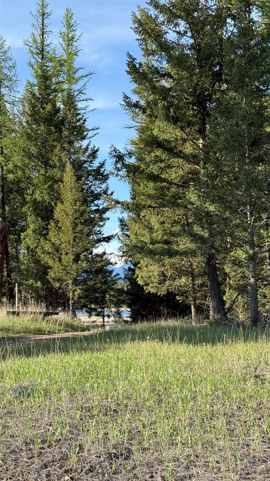 2096 Marl Lake Creek Road Property Photo 27