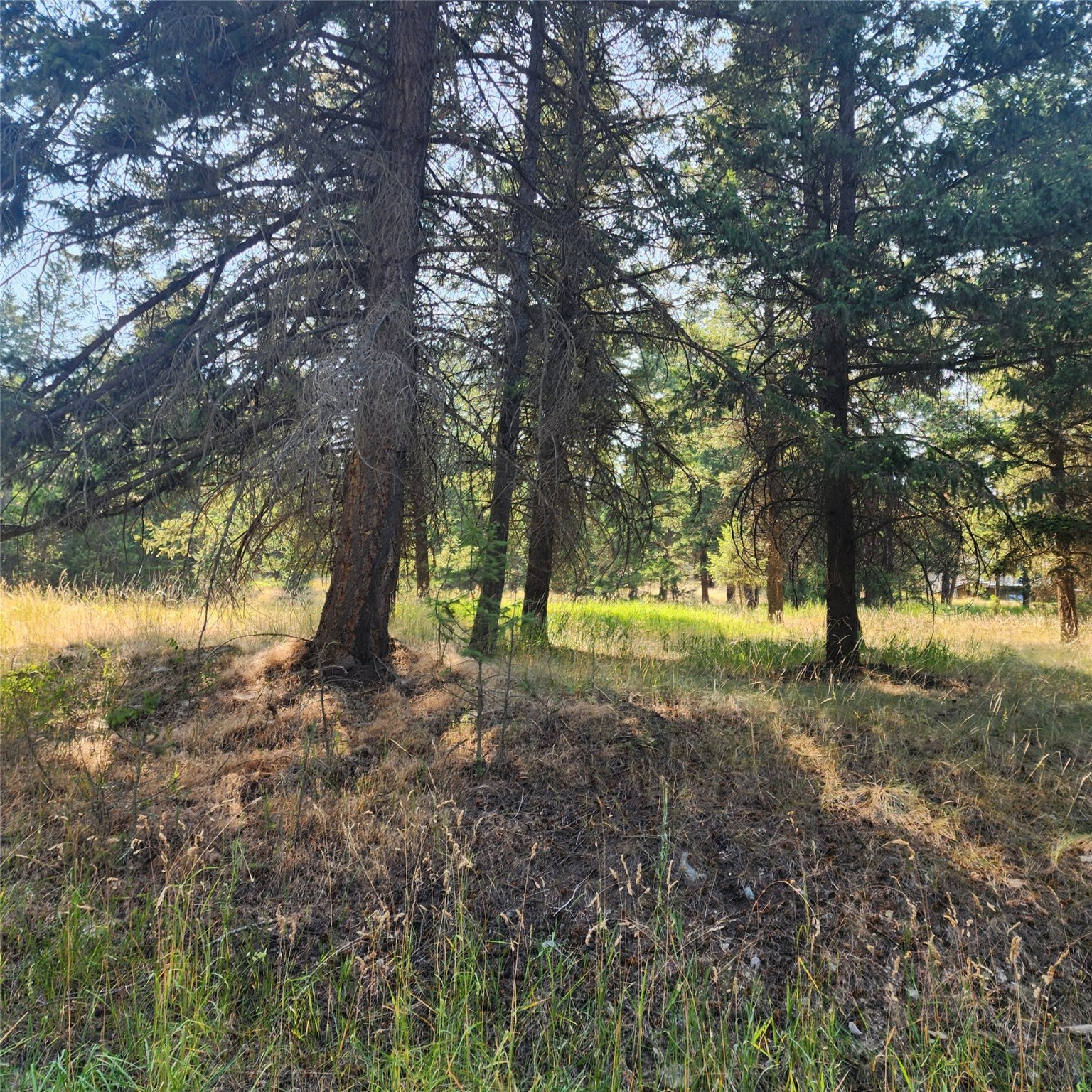 216 Glacier Ranch Road Property Photo 1