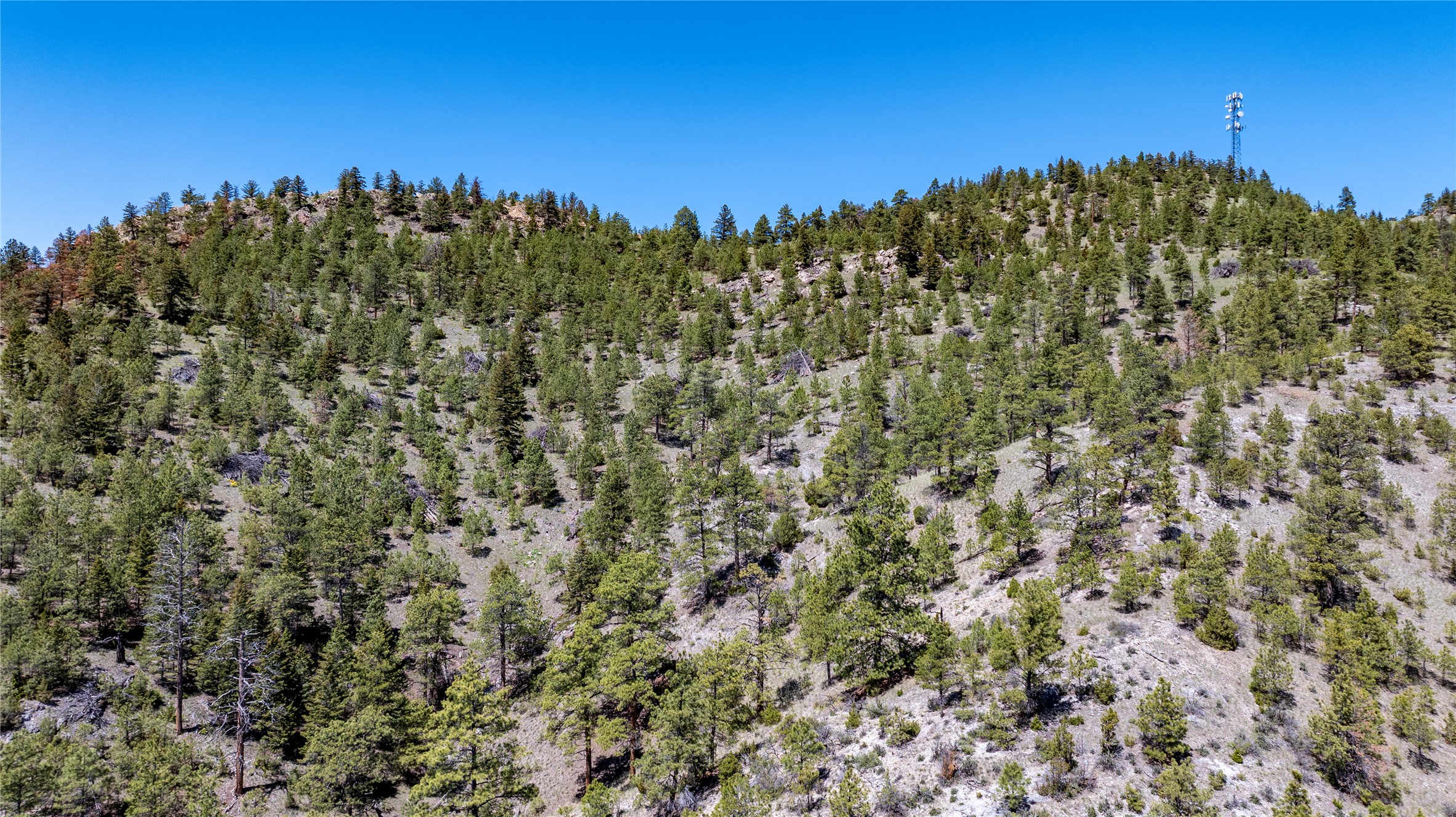 6605 Rising Moon Road Property Photo 12