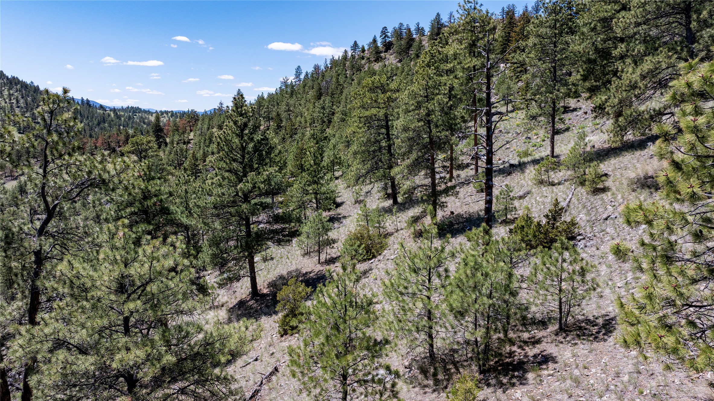 6605 Rising Moon Road Property Photo 13