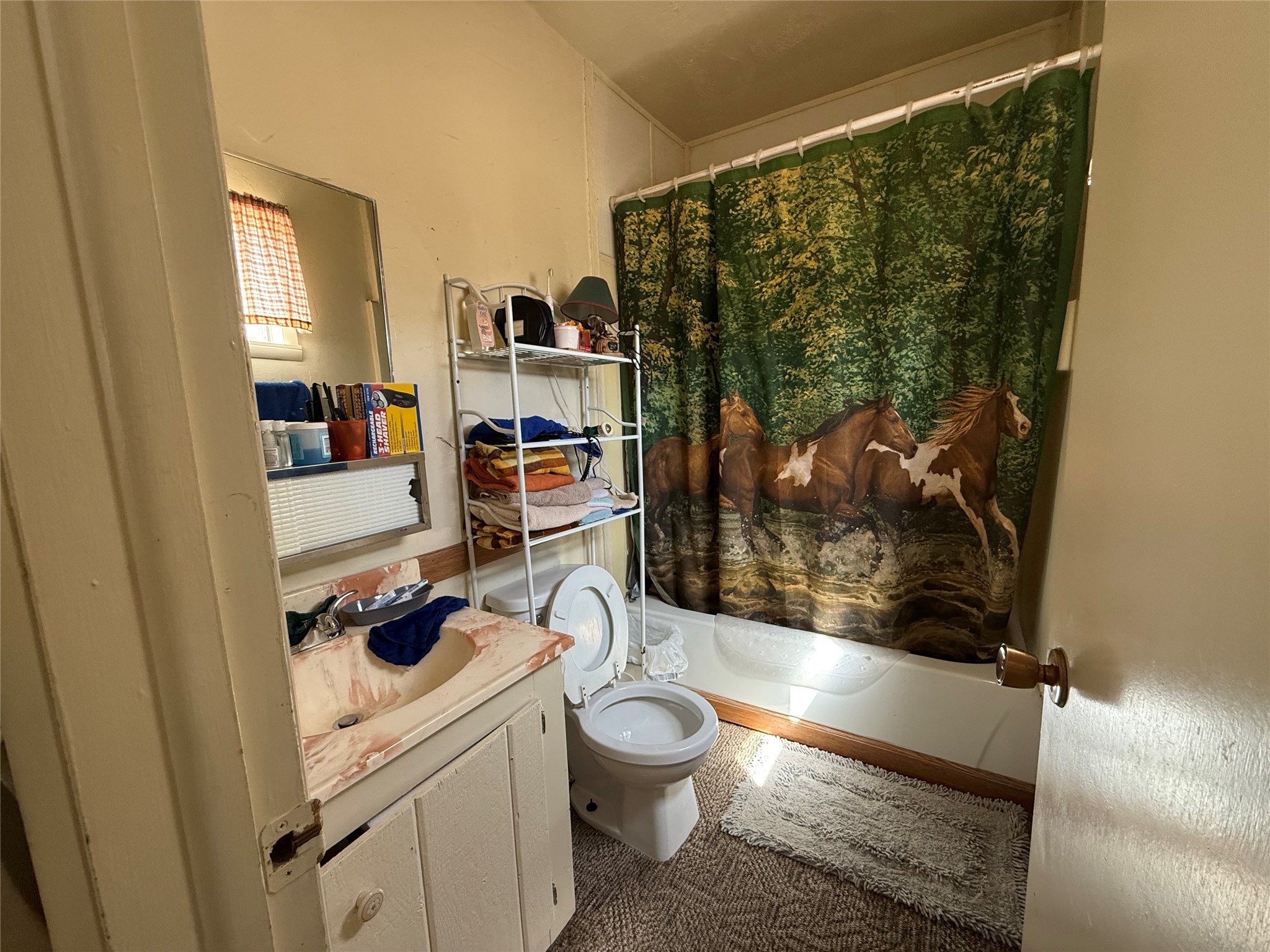 409 N 5th Street Property Photo 18