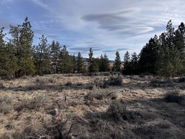 711 Rabbit Run Property Photo
